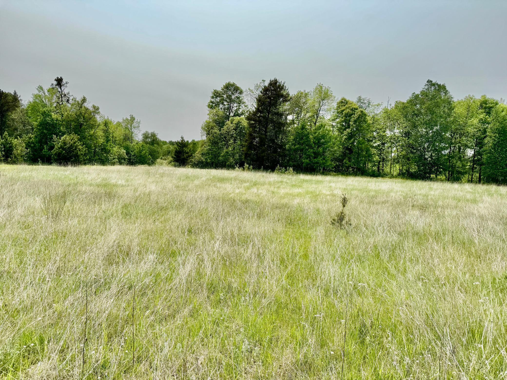 2320 Prairie View Court, Pequot Lakes, Minnesota image 13