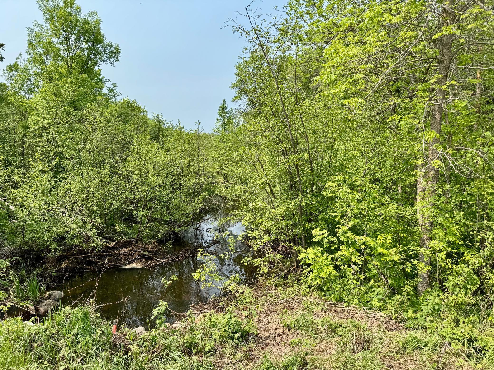 2320 Prairie View Court, Pequot Lakes, Minnesota image 11