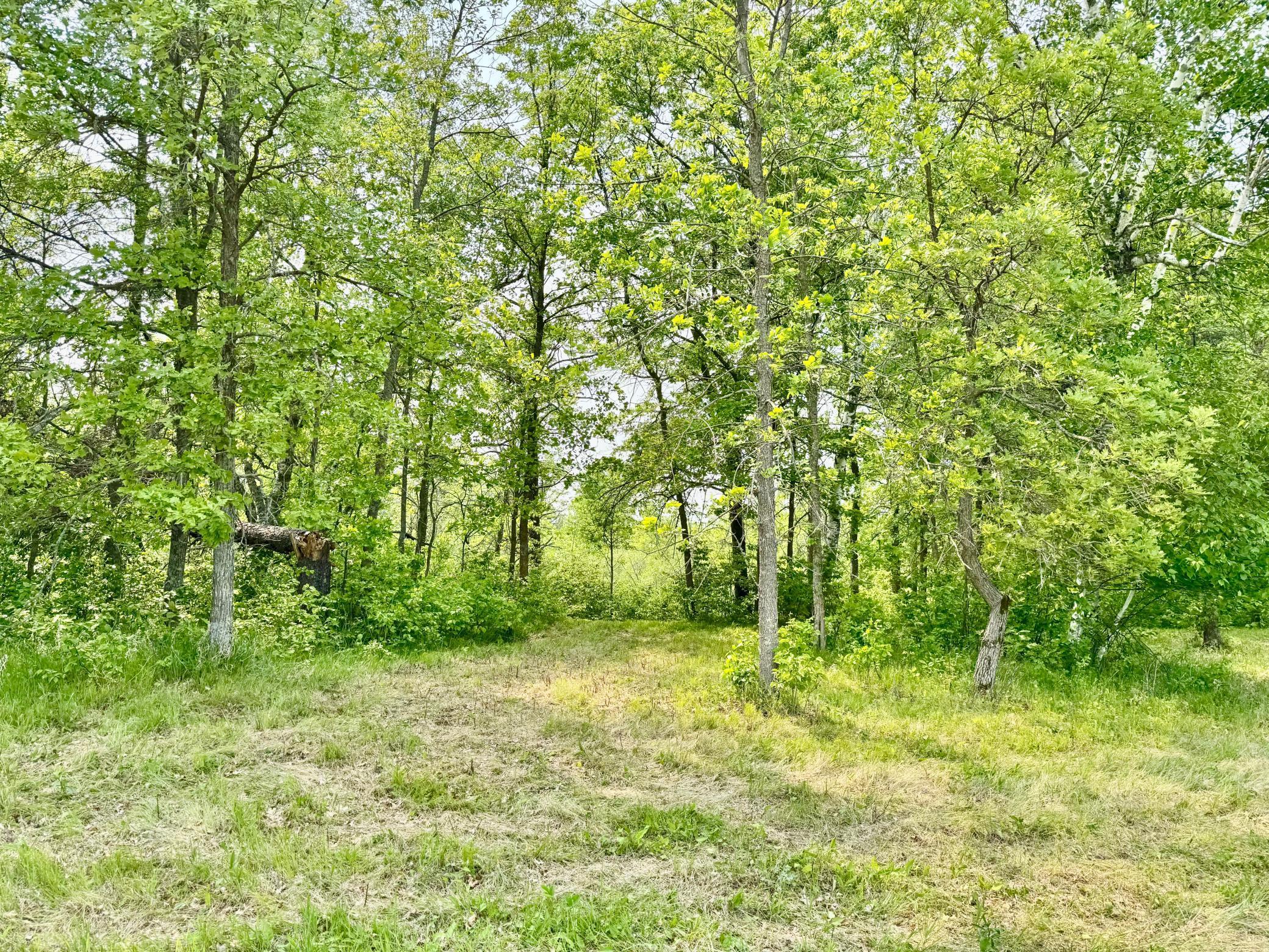 2320 Prairie View Court, Pequot Lakes, Minnesota image 7