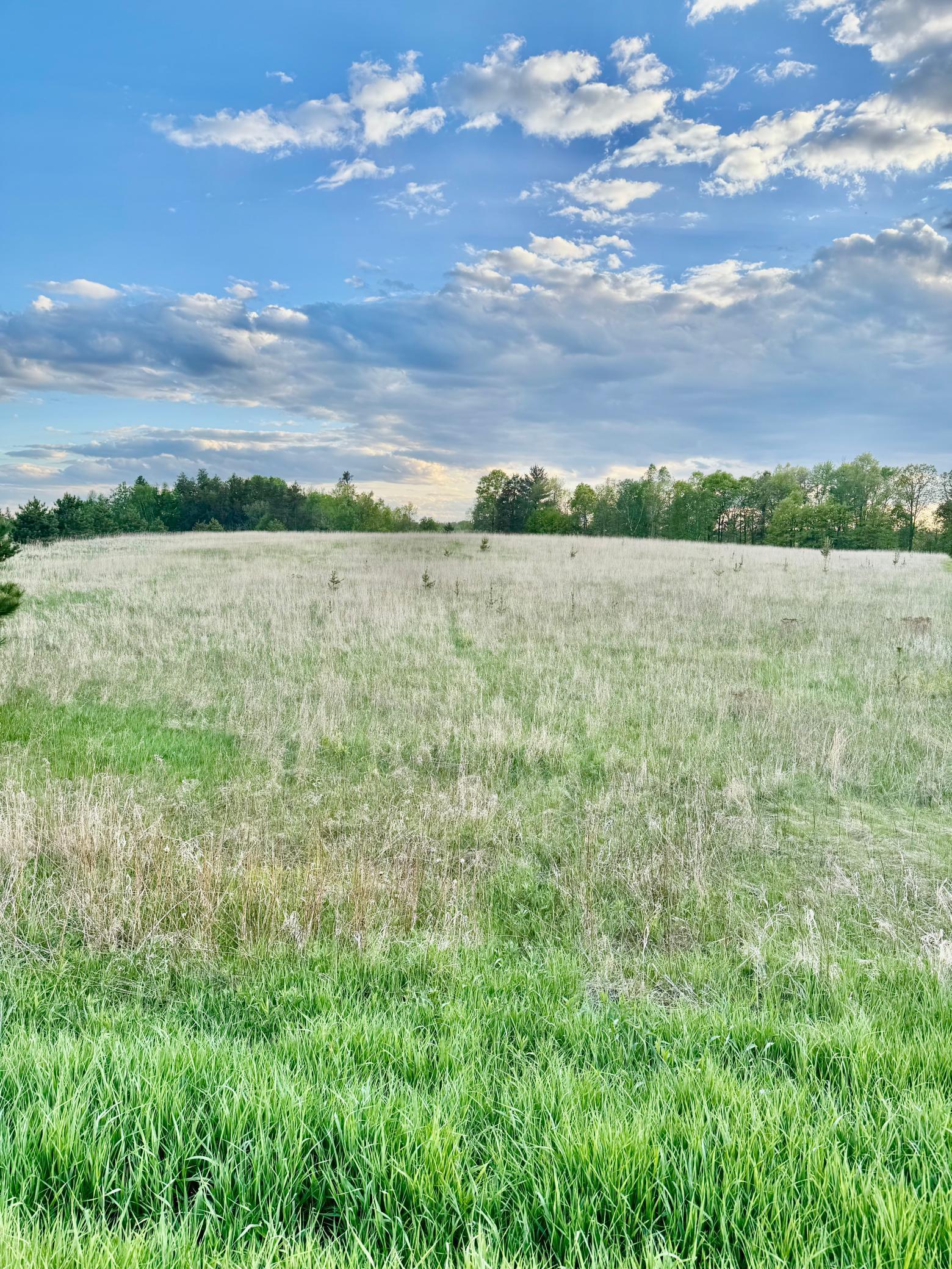 2320 Prairie View Court, Pequot Lakes, Minnesota image 18