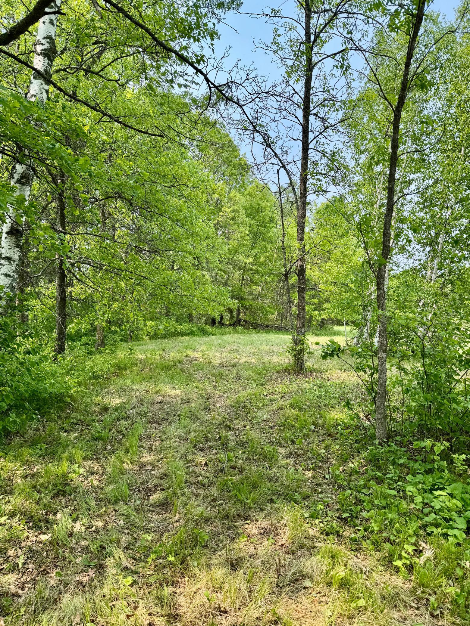 2320 Prairie View Court, Pequot Lakes, Minnesota image 8