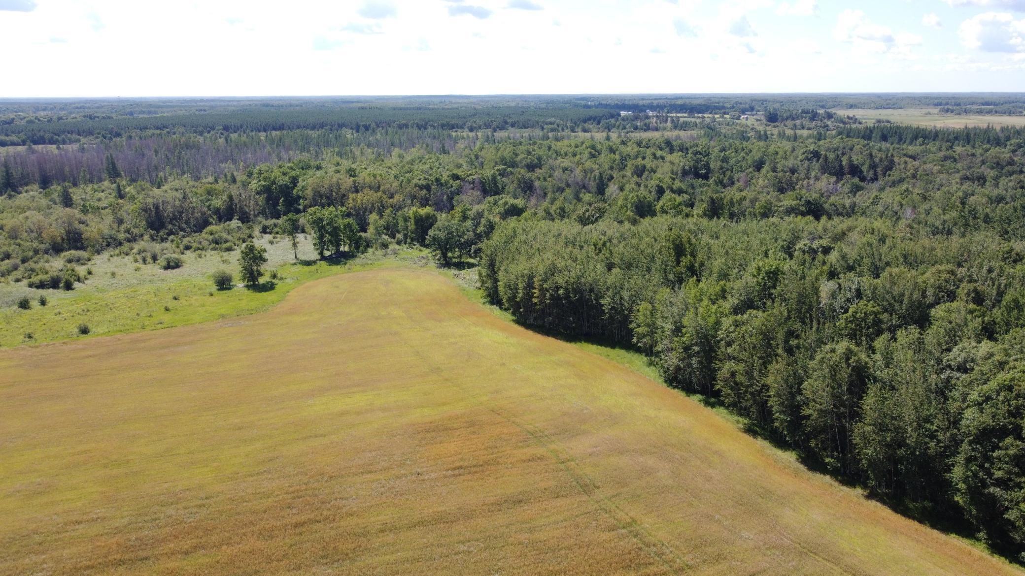 22323 County Road 14, Sebeka, Minnesota image 11