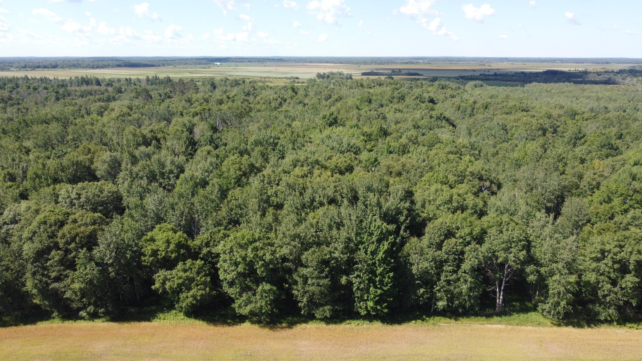 22323 County Road 14, Sebeka, Minnesota image 14