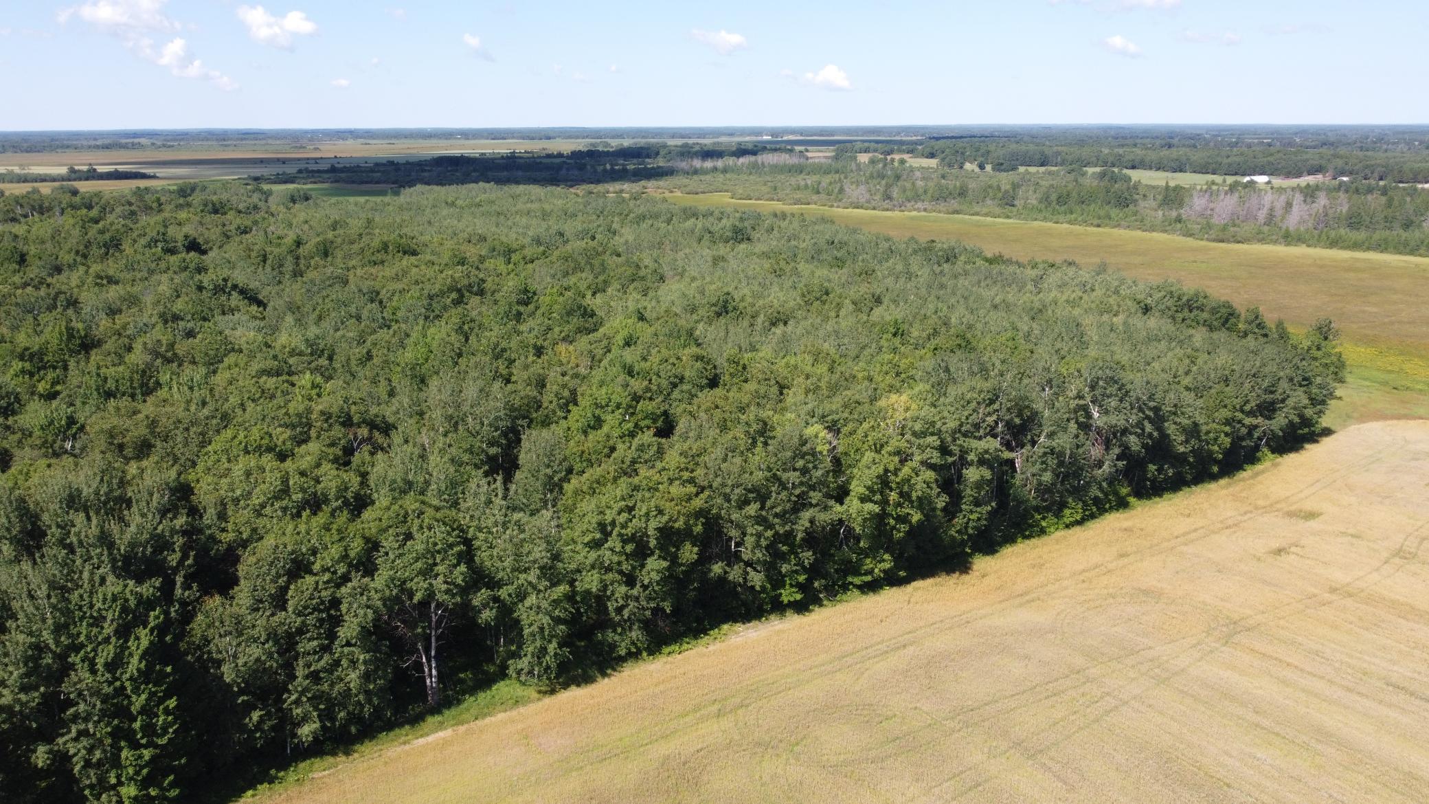 22323 County Road 14, Sebeka, Minnesota image 15