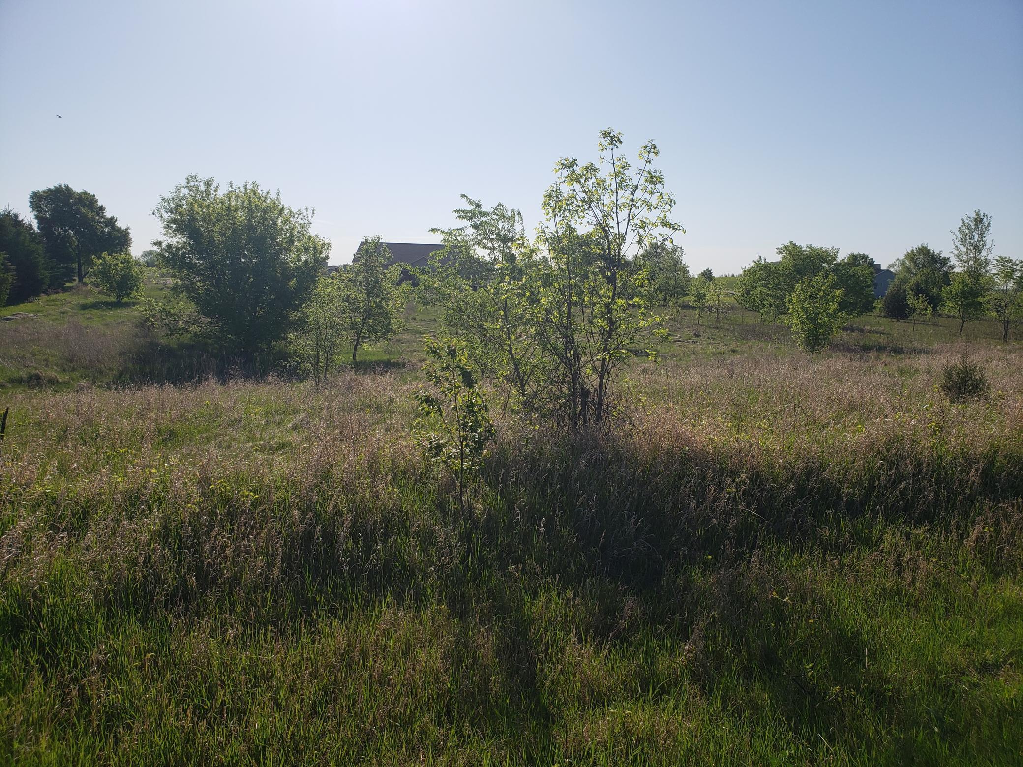 1641 95th Street, New Richmond, Wisconsin image 3