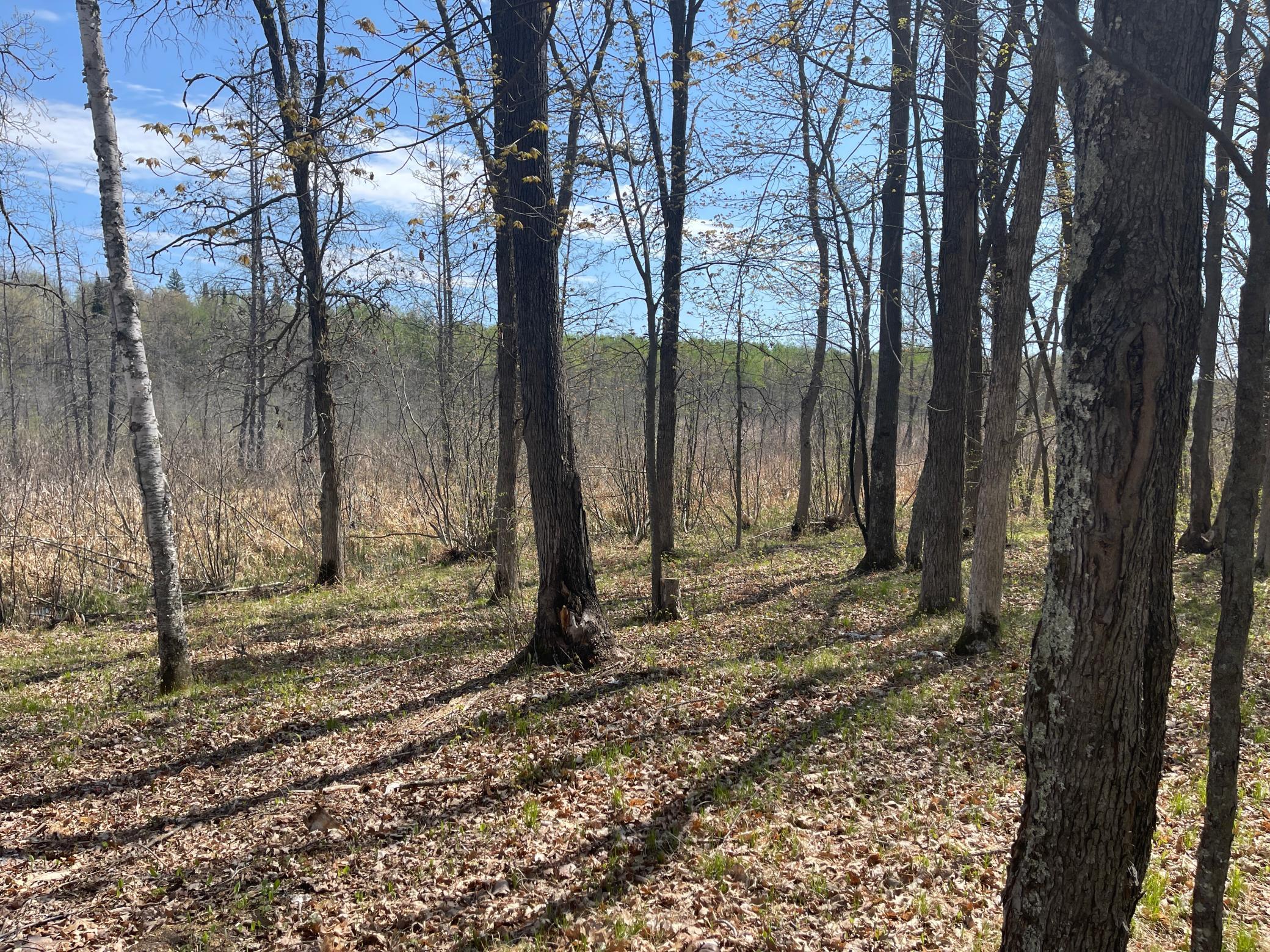 1544 Willard Lake Road, Backus, Minnesota image 18