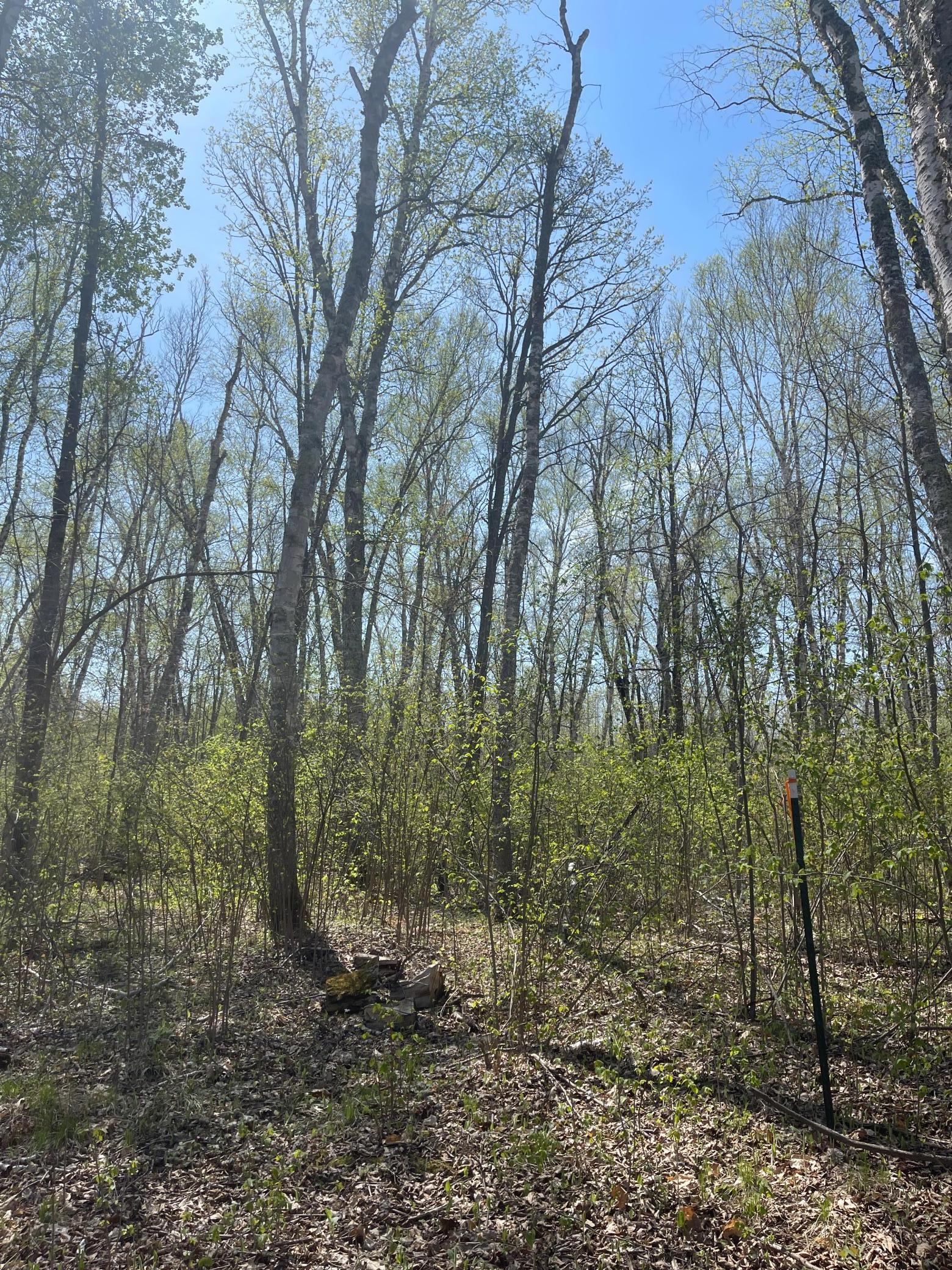 1544 Willard Lake Road, Backus, Minnesota image 15
