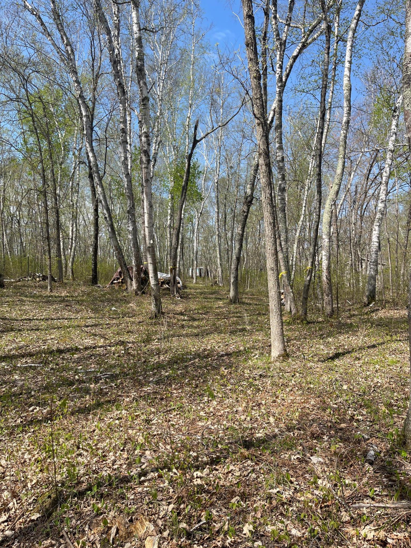 1544 Willard Lake Road, Backus, Minnesota image 25