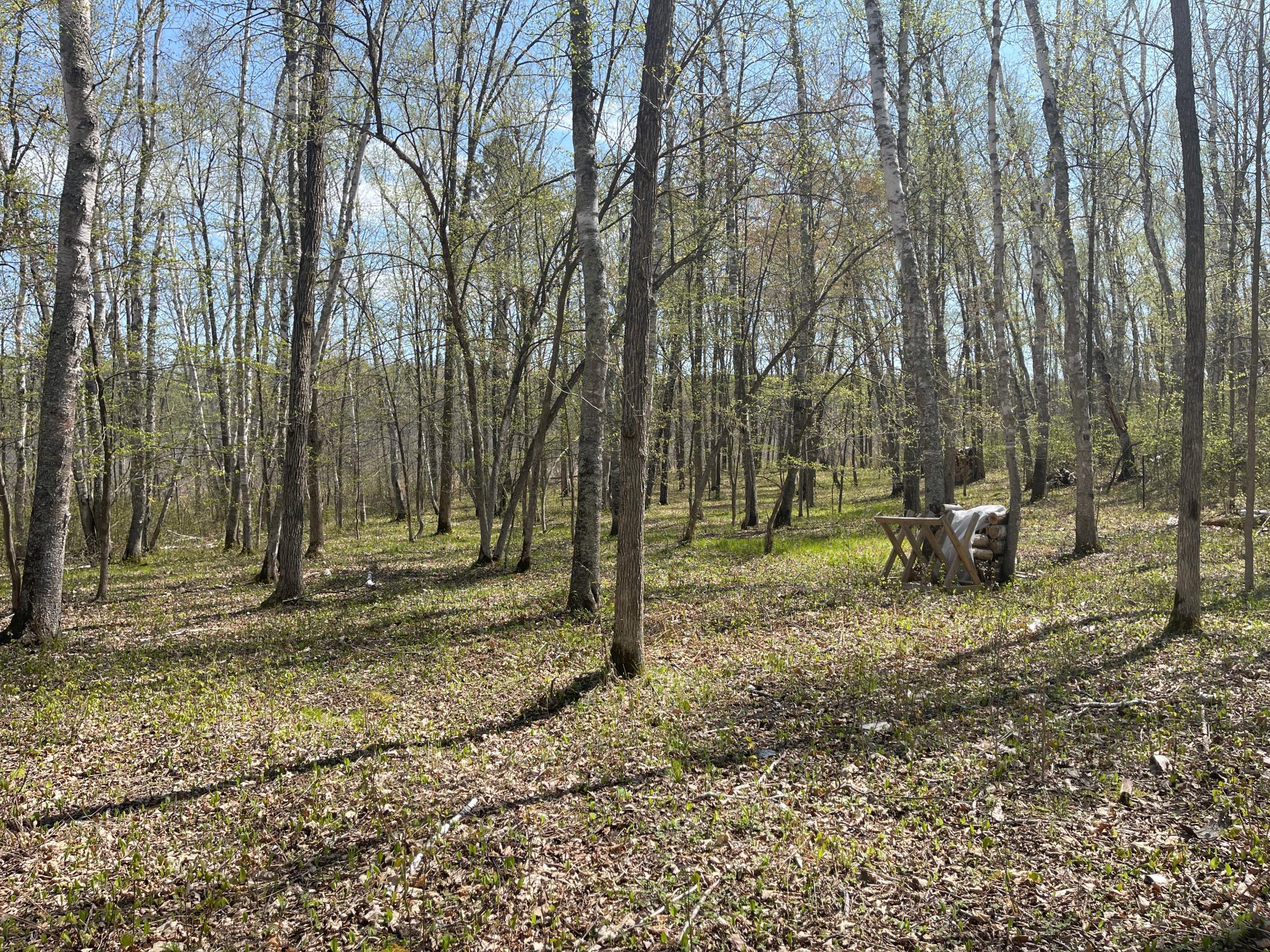 1544 Willard Lake Road, Backus, Minnesota image 16