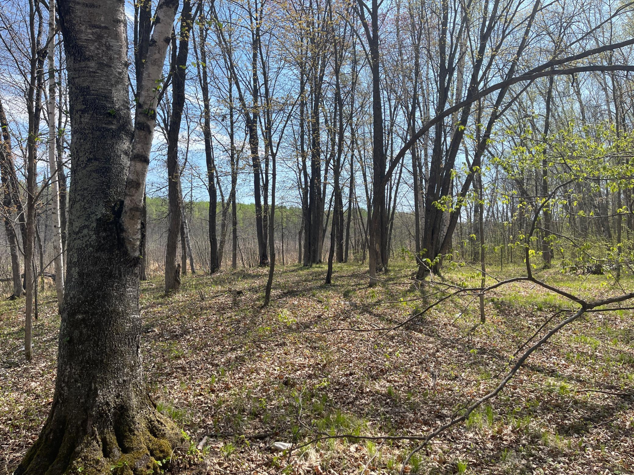 1544 Willard Lake Road, Backus, Minnesota image 17
