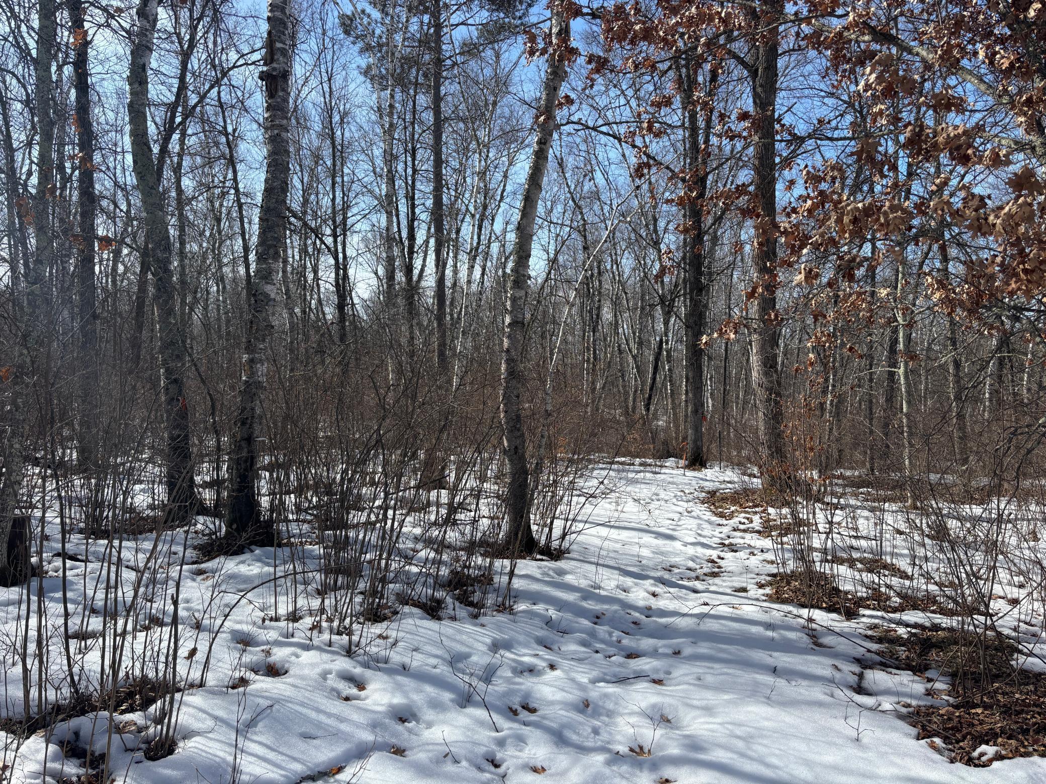 1544 Willard Lake Road, Backus, Minnesota image 2