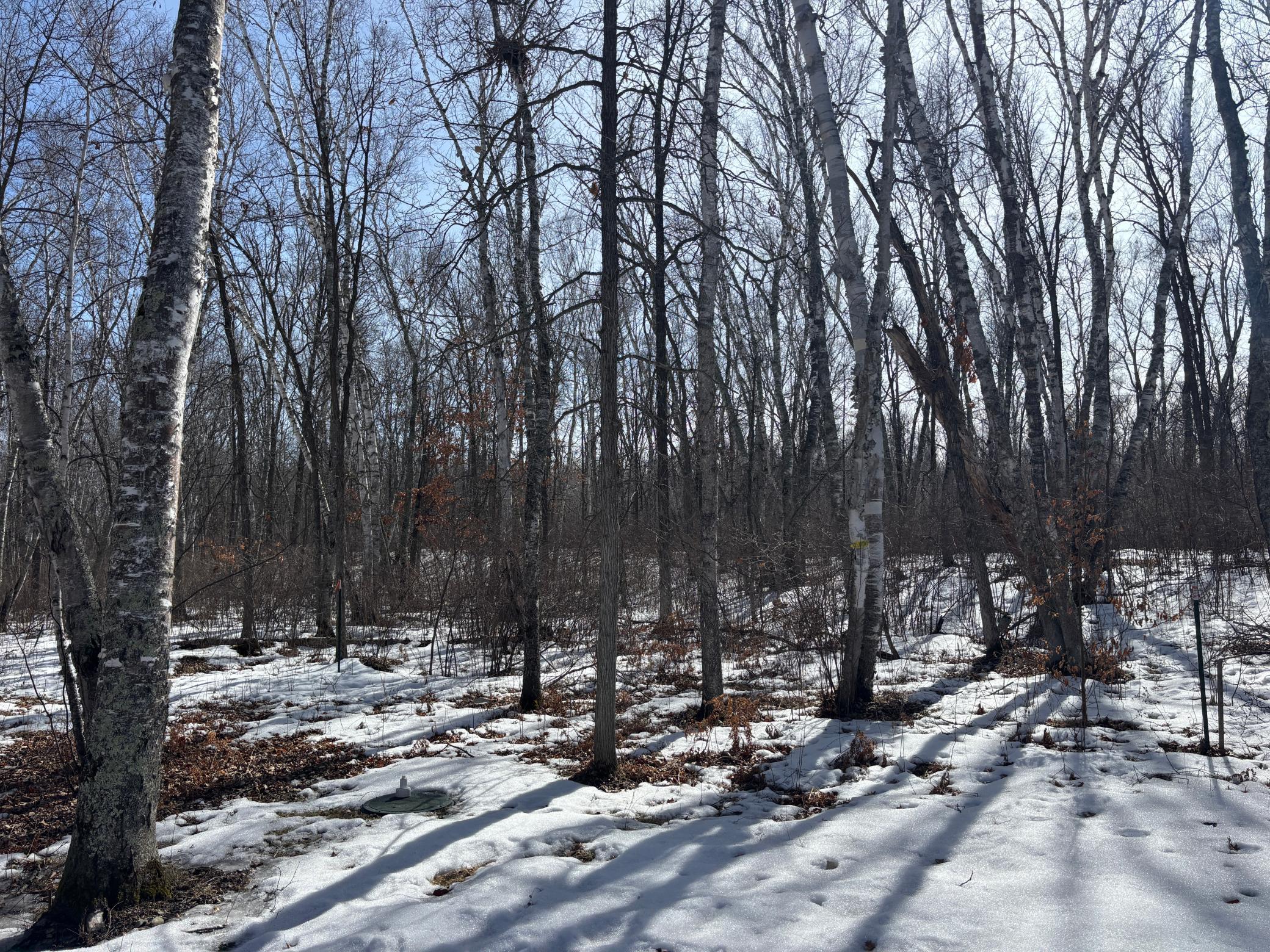 1544 Willard Lake Road, Backus, Minnesota image 11