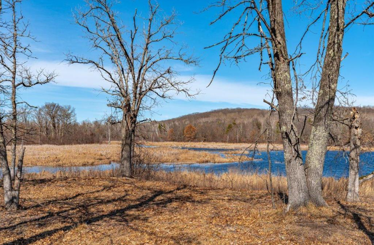 Xxx Tranus Lake Rd, Springbrook, Wisconsin image 10