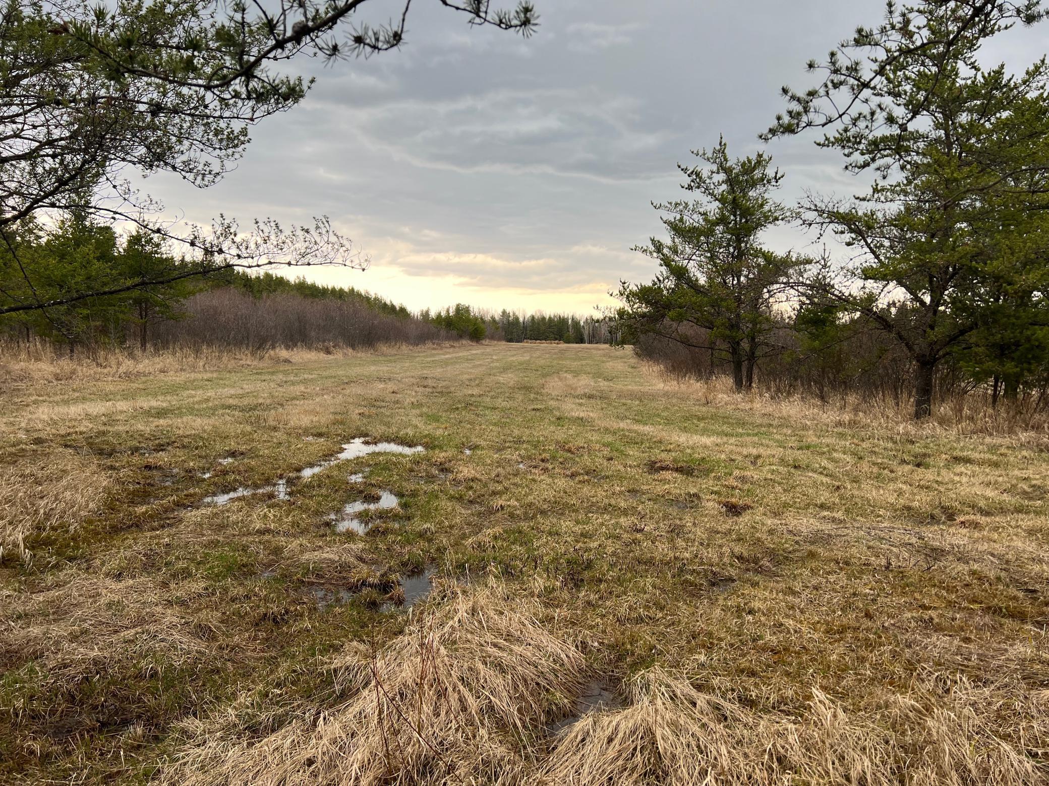 TBD Town Line Road, Aurora, Minnesota image 23
