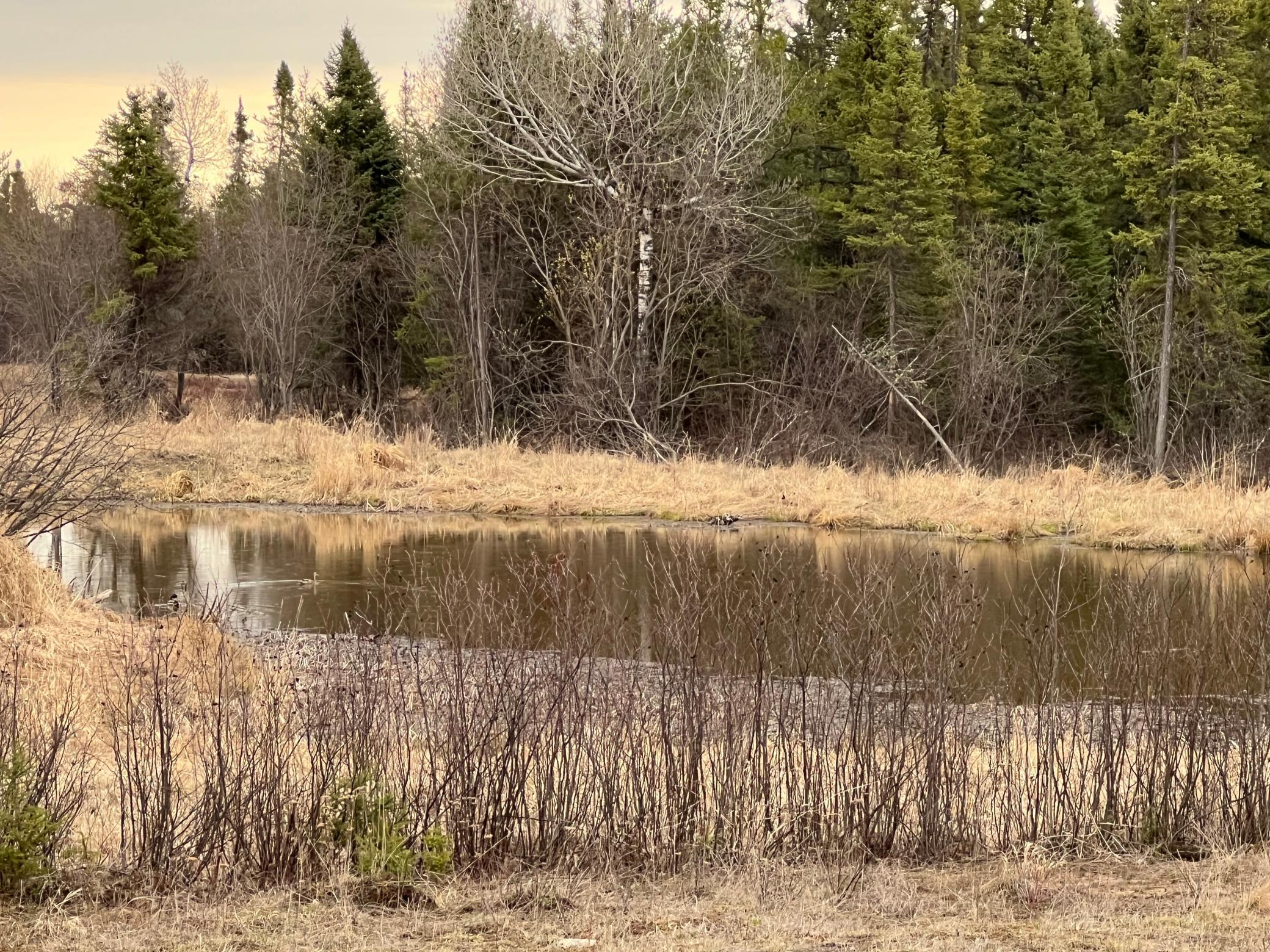 TBD Town Line Road, Aurora, Minnesota image 6