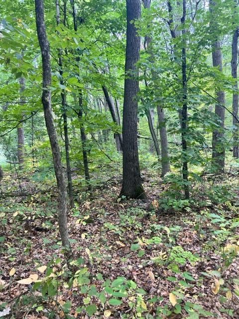 Vacant Land For Sale - XXX Pebble Pass<br/> Morrison County, Cushing, MN 56443
