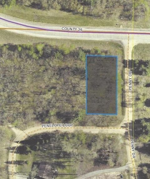Vacant Land For Sale - TBD Penelope Loop<br/> Todd County, Browerville, MN 56438