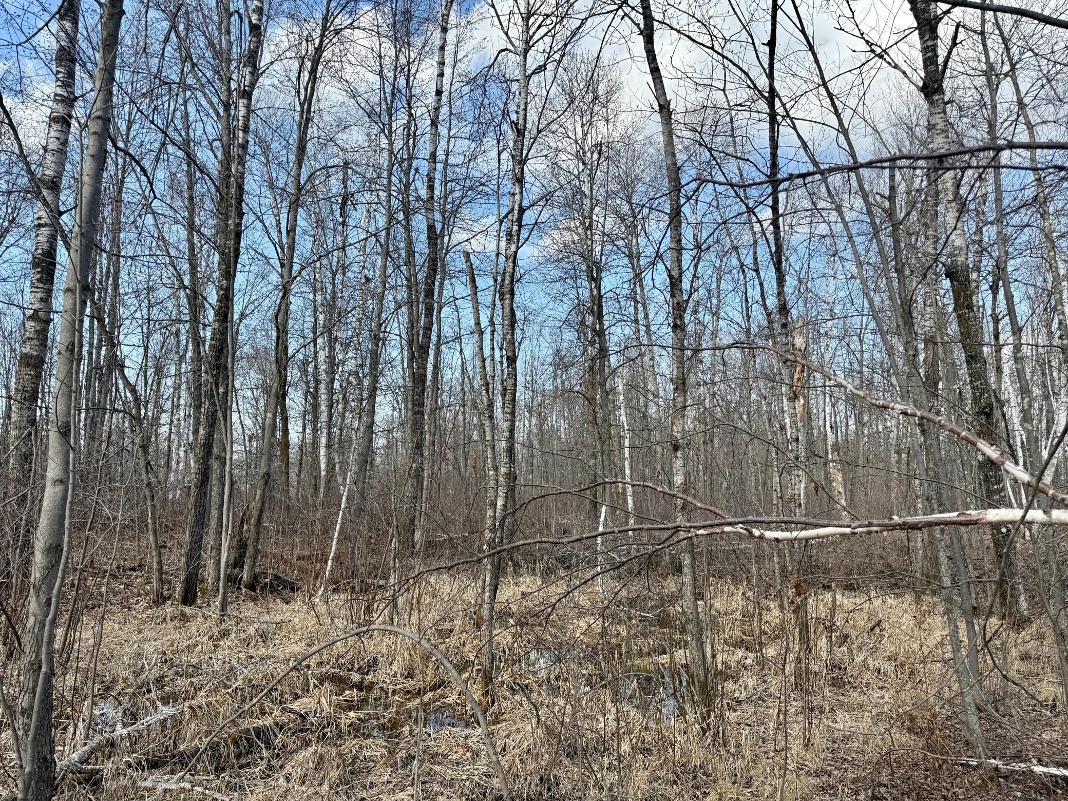 1XX Estates Road, Kerrick, Minnesota image 8