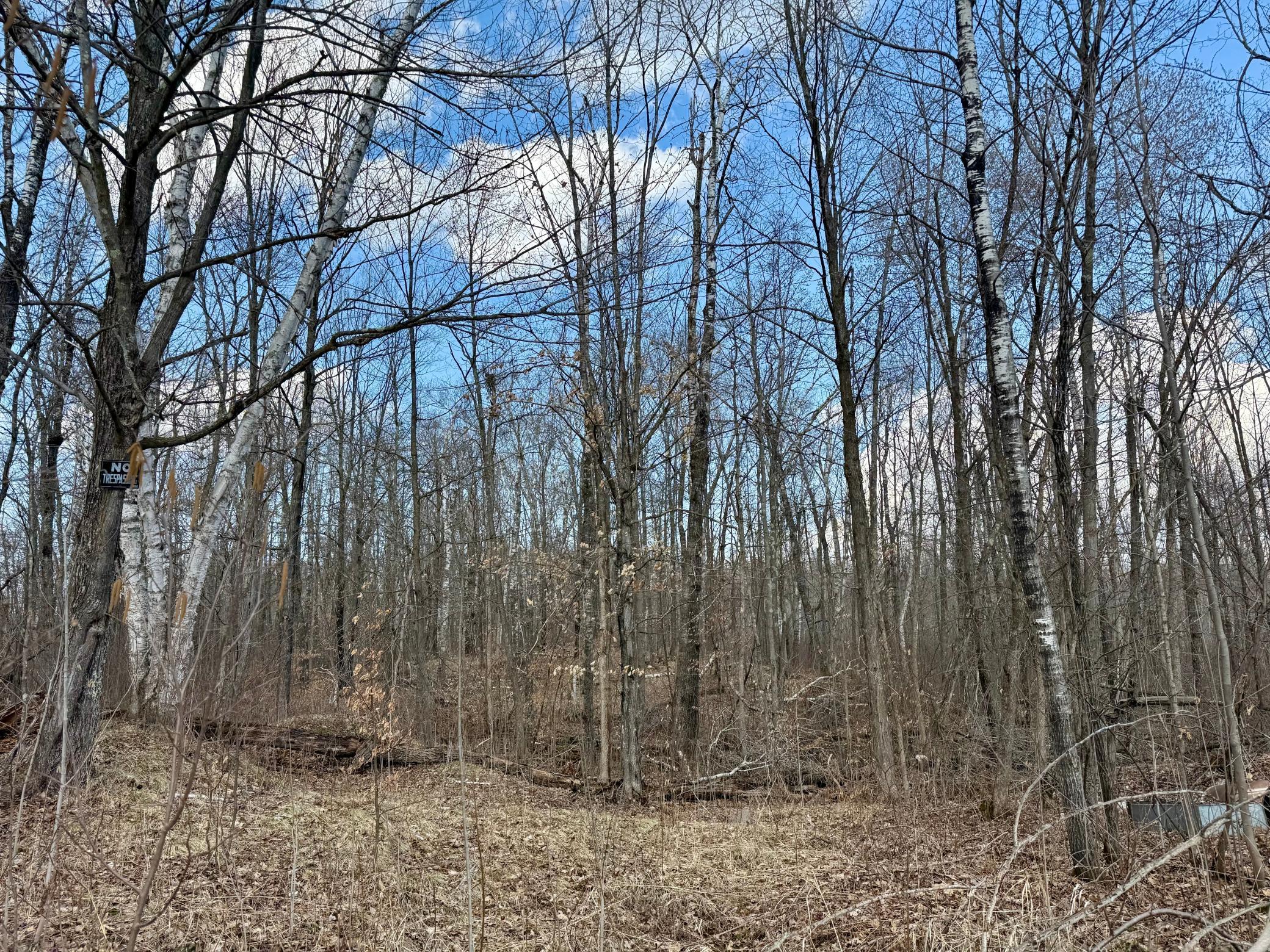 1XX Estates Road, Kerrick, Minnesota image 1