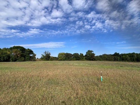 Vacant Land For Sale - TBD LOT 6 BLK 3 Chainview Court<br/> Douglas County, Alexandria, MN 56308