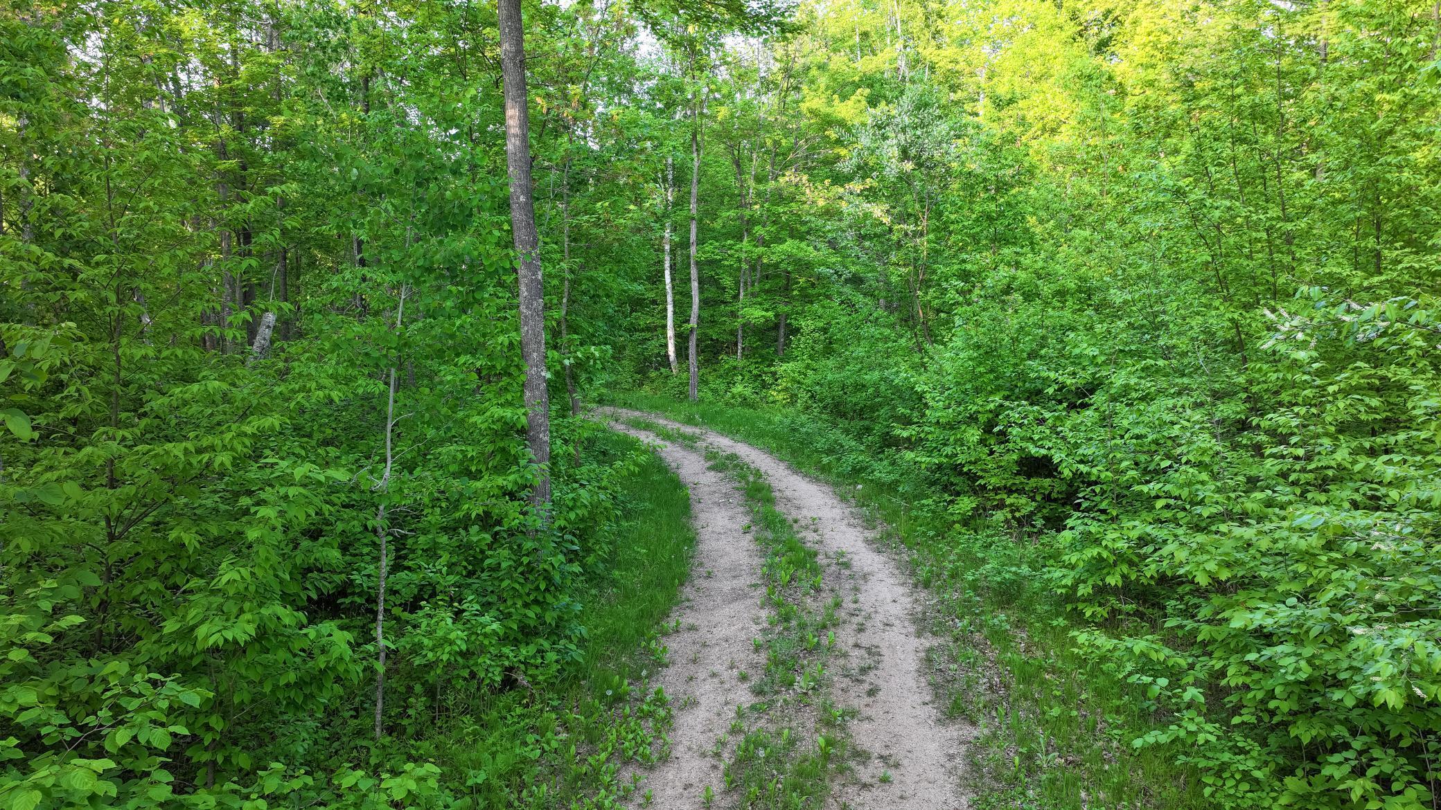 26354 Inwood Trail, Park Rapids, Minnesota image 21