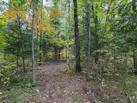 Vacant Land For Sale - 51181 Sand Creek Rd<br/> Pine County, Bruno, MN 55712