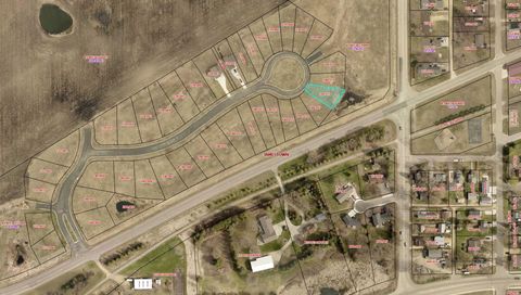 Vacant Land For Sale - 927 Three Lakes Court<br/> Madison Lake, MN 56063