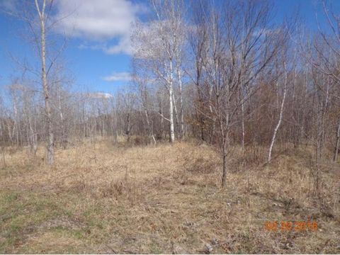 Vacant Land For Sale - 17205 Lincoln Street<br/> Andover, MN 55304