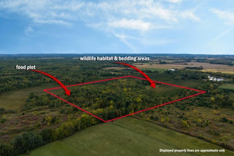 Vacant Land For Sale - TBD 23 1/2 Street<br/> Barron County, Rice Lake, WI 54868