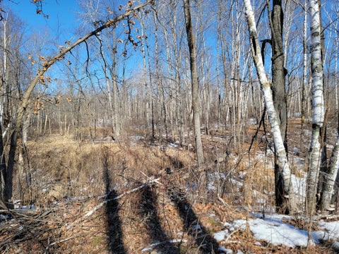 Vacant Land For Sale - TBD Xxxx Meadow Lake Road<br/> Cass County, Motley, MN 56466