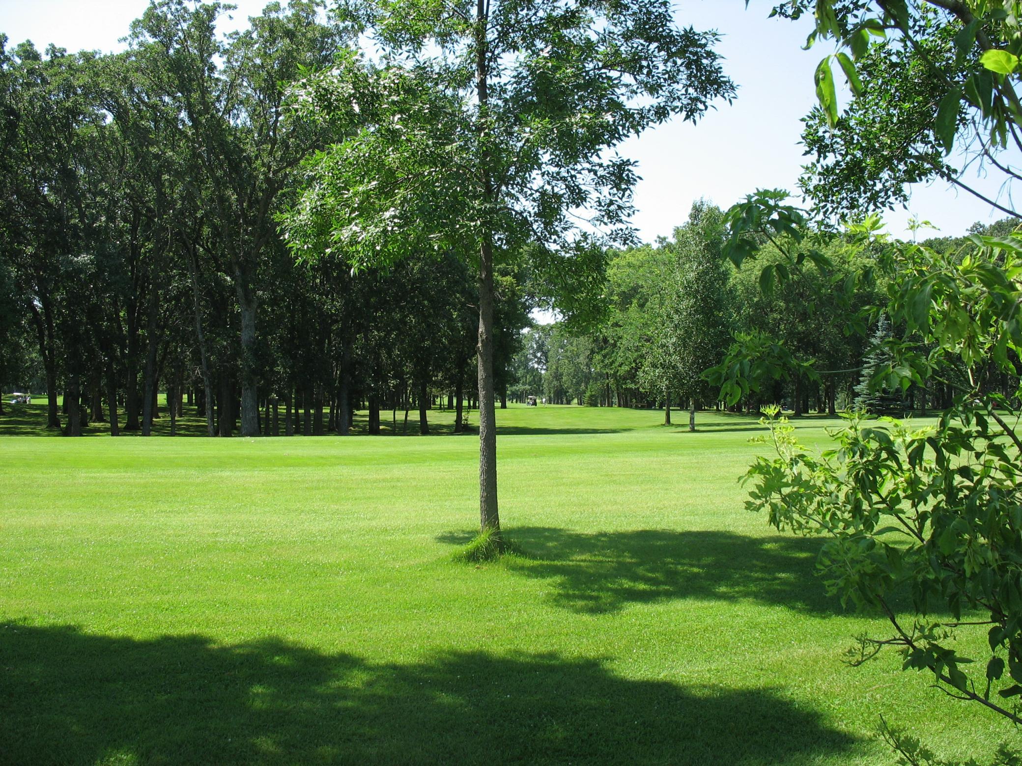 Lot1 Blk1 285th, Battle Lake, Minnesota image 13