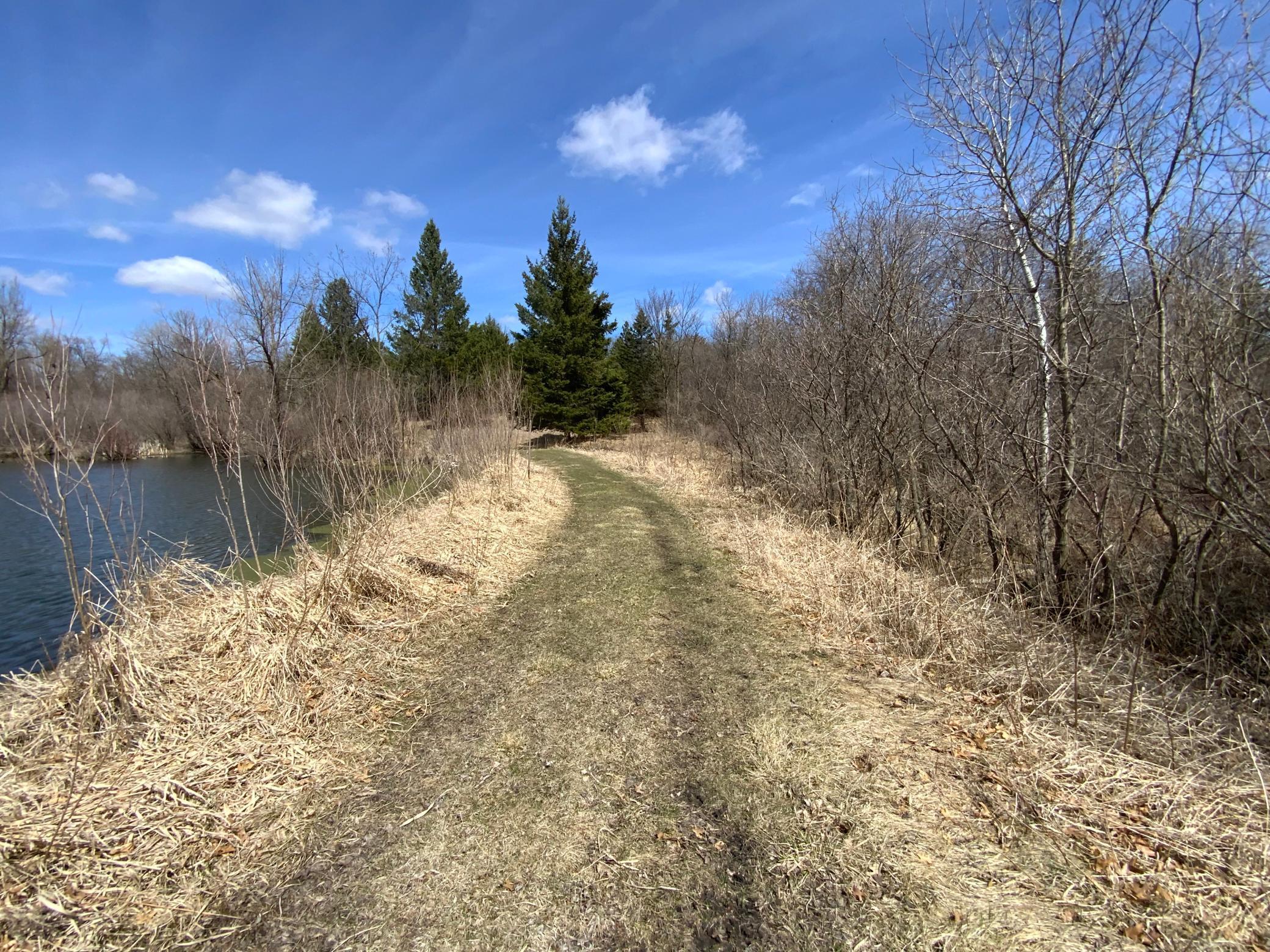33006 645th Avenue, Watkins, Minnesota image 10