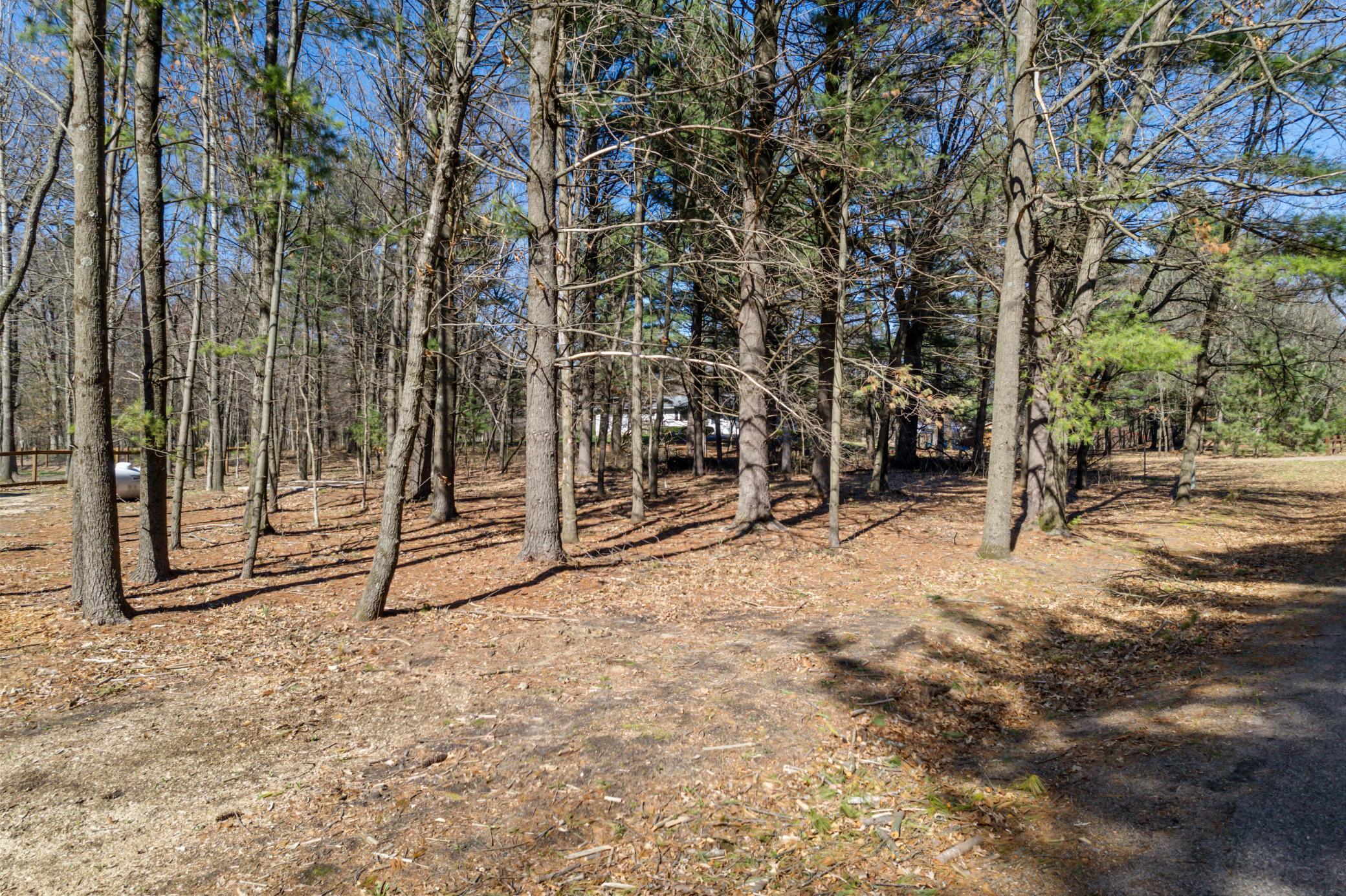 TBD Montgomery Road, Hixton, Wisconsin image 1