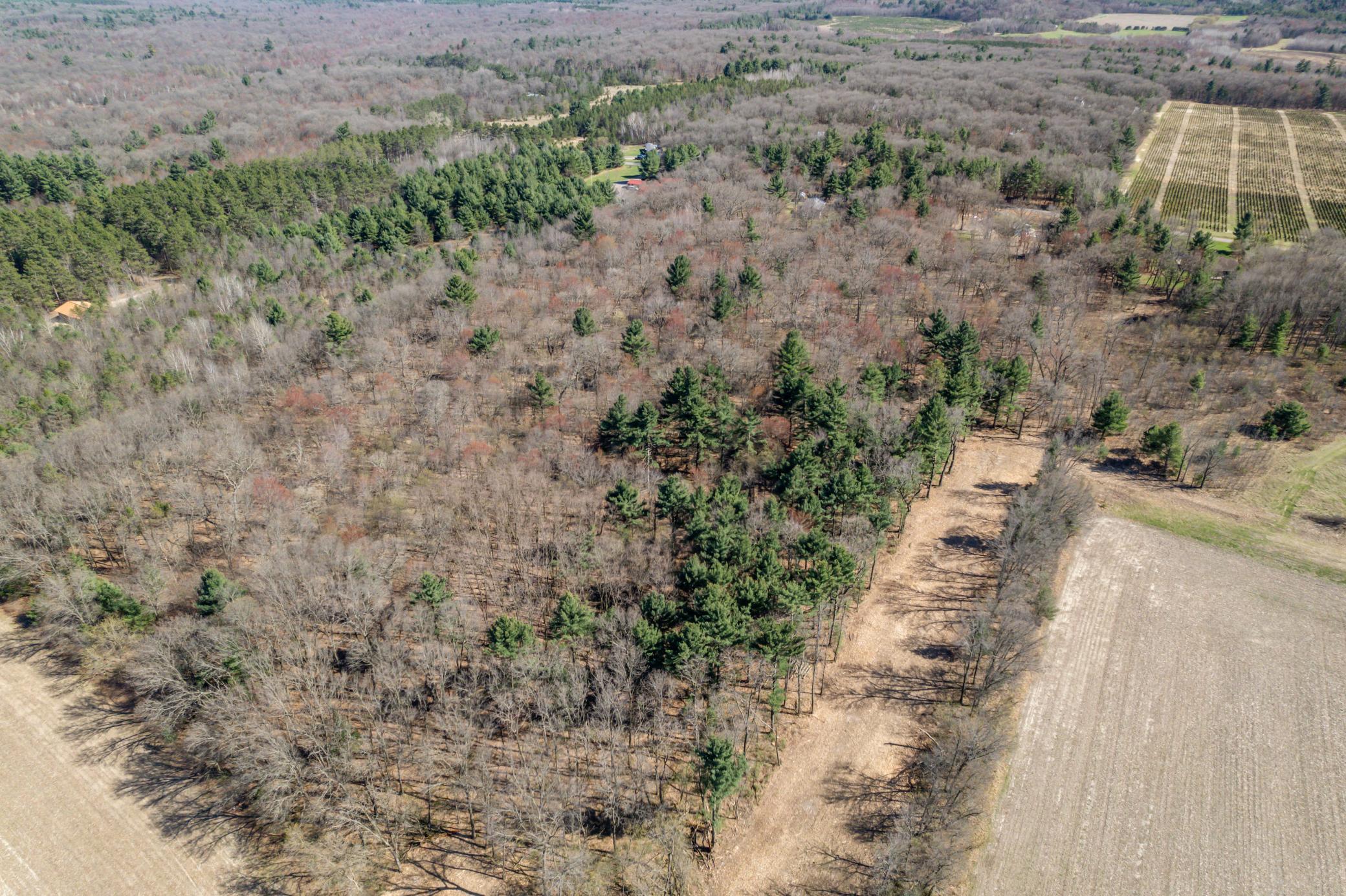 TBD Montgomery Road, Hixton, Wisconsin image 9