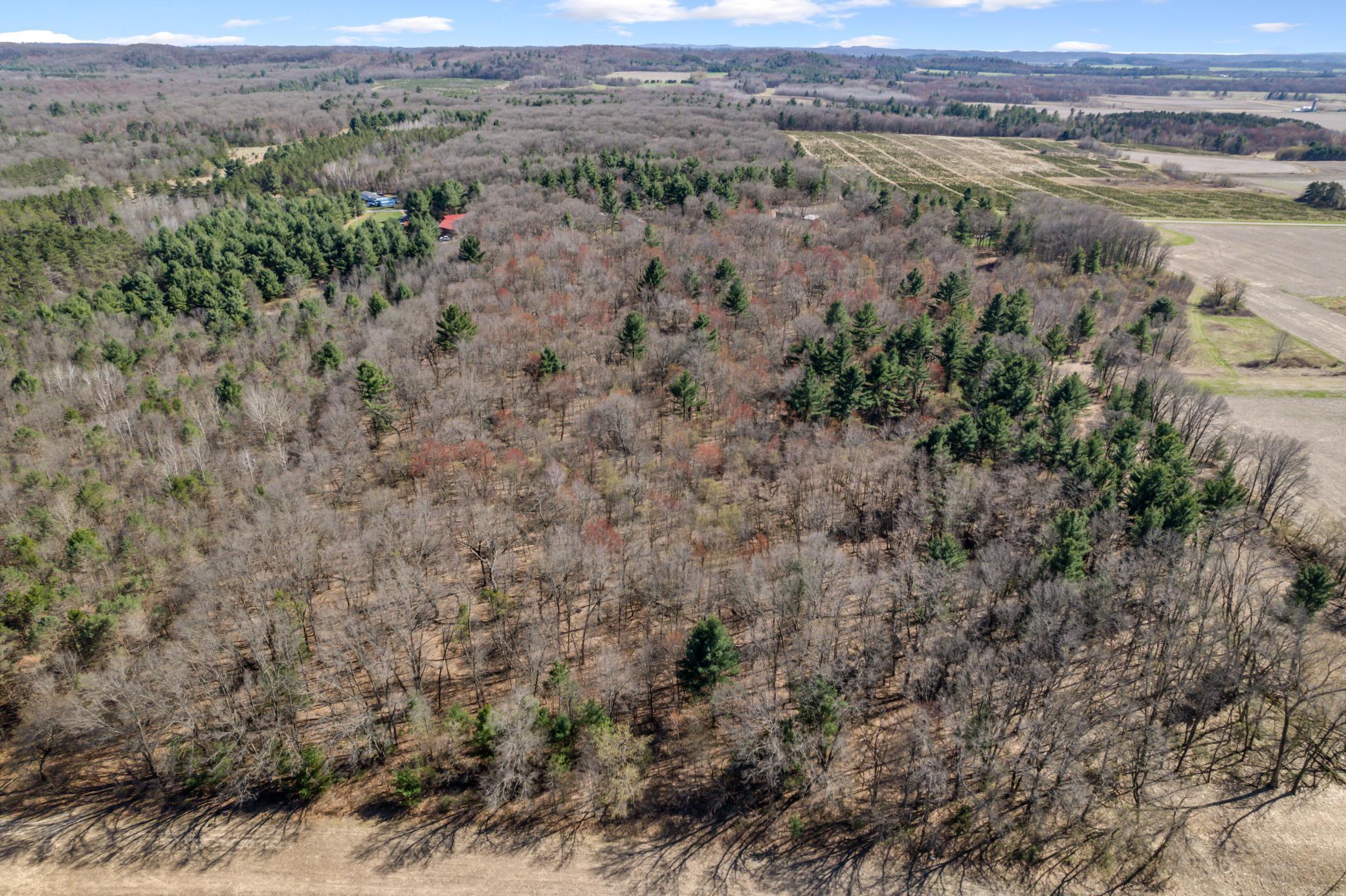 TBD Montgomery Road, Hixton, Wisconsin image 11