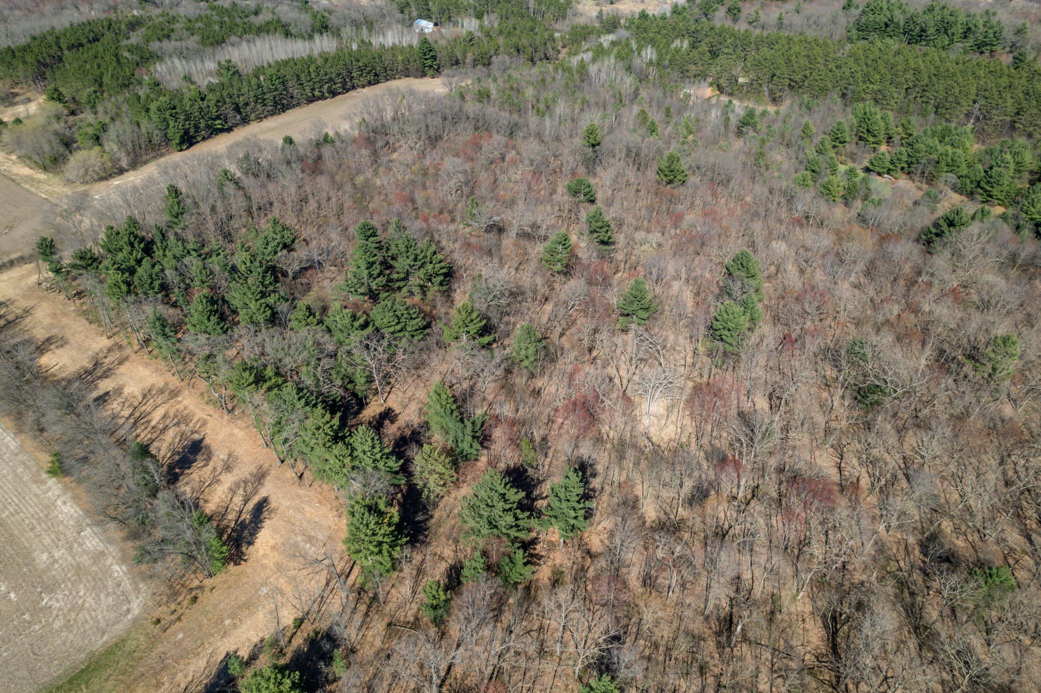 TBD Montgomery Road, Hixton, Wisconsin image 7