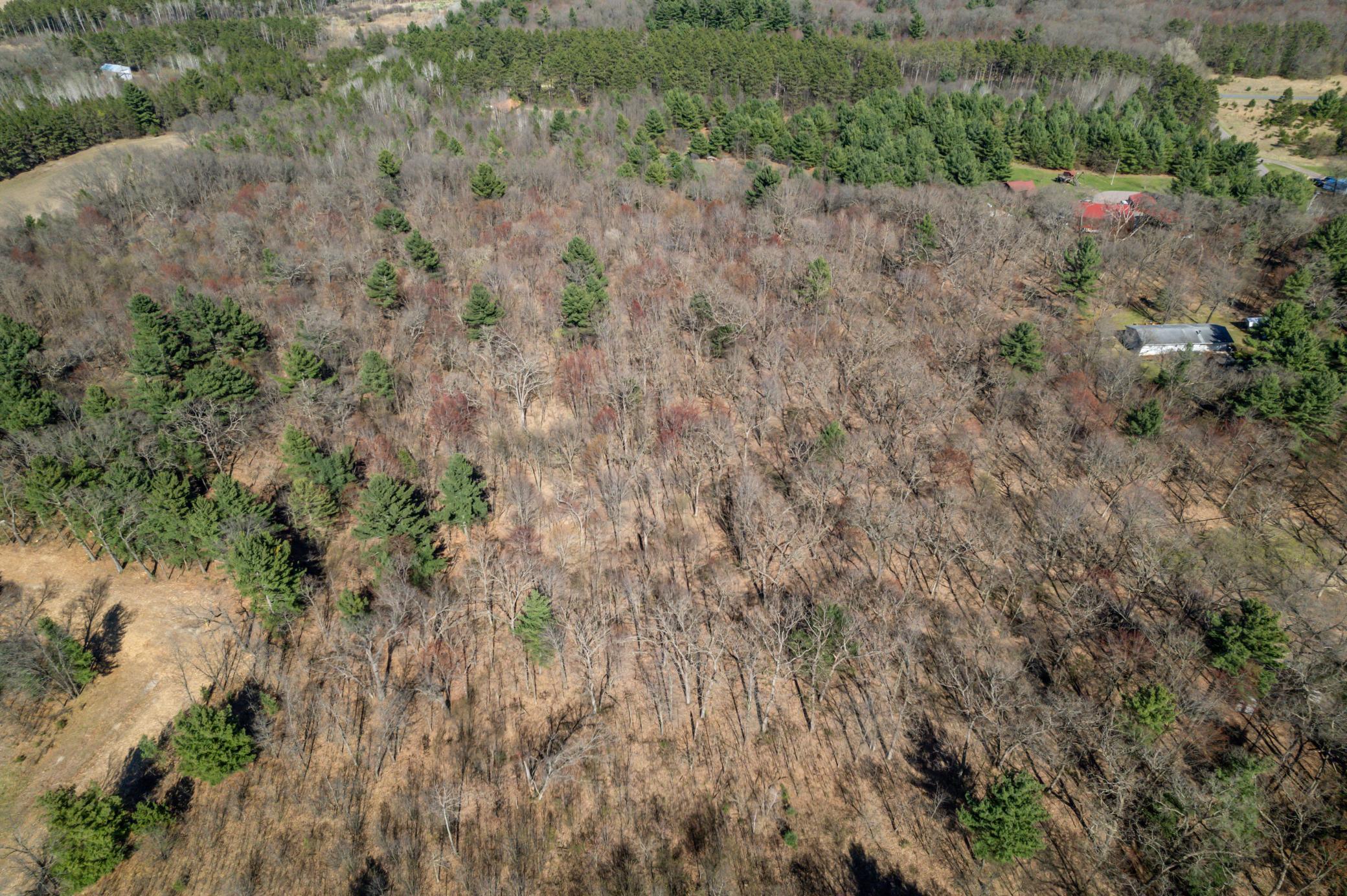 TBD Montgomery Road, Hixton, Wisconsin image 8
