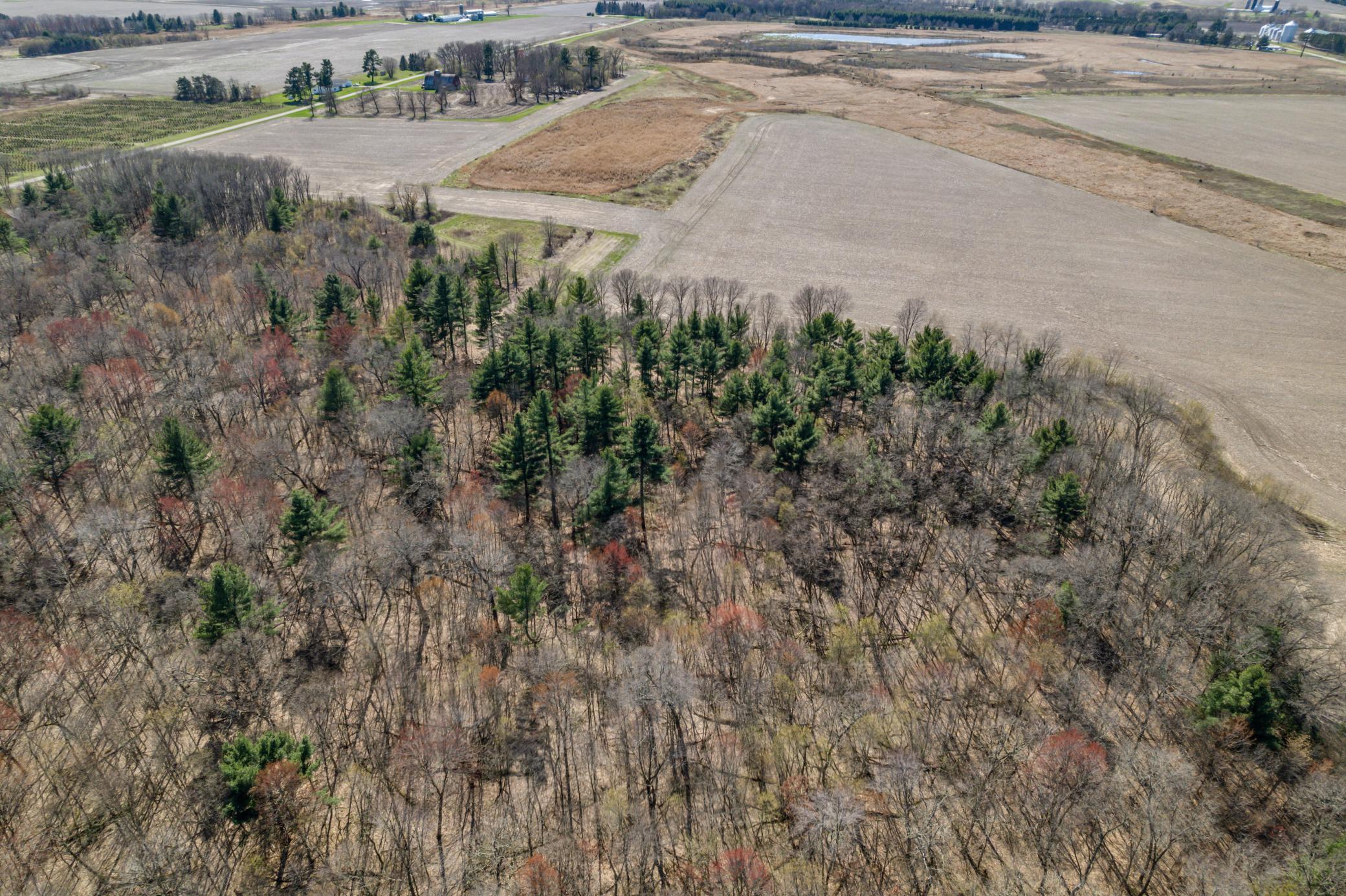 TBD Montgomery Road, Hixton, Wisconsin image 13
