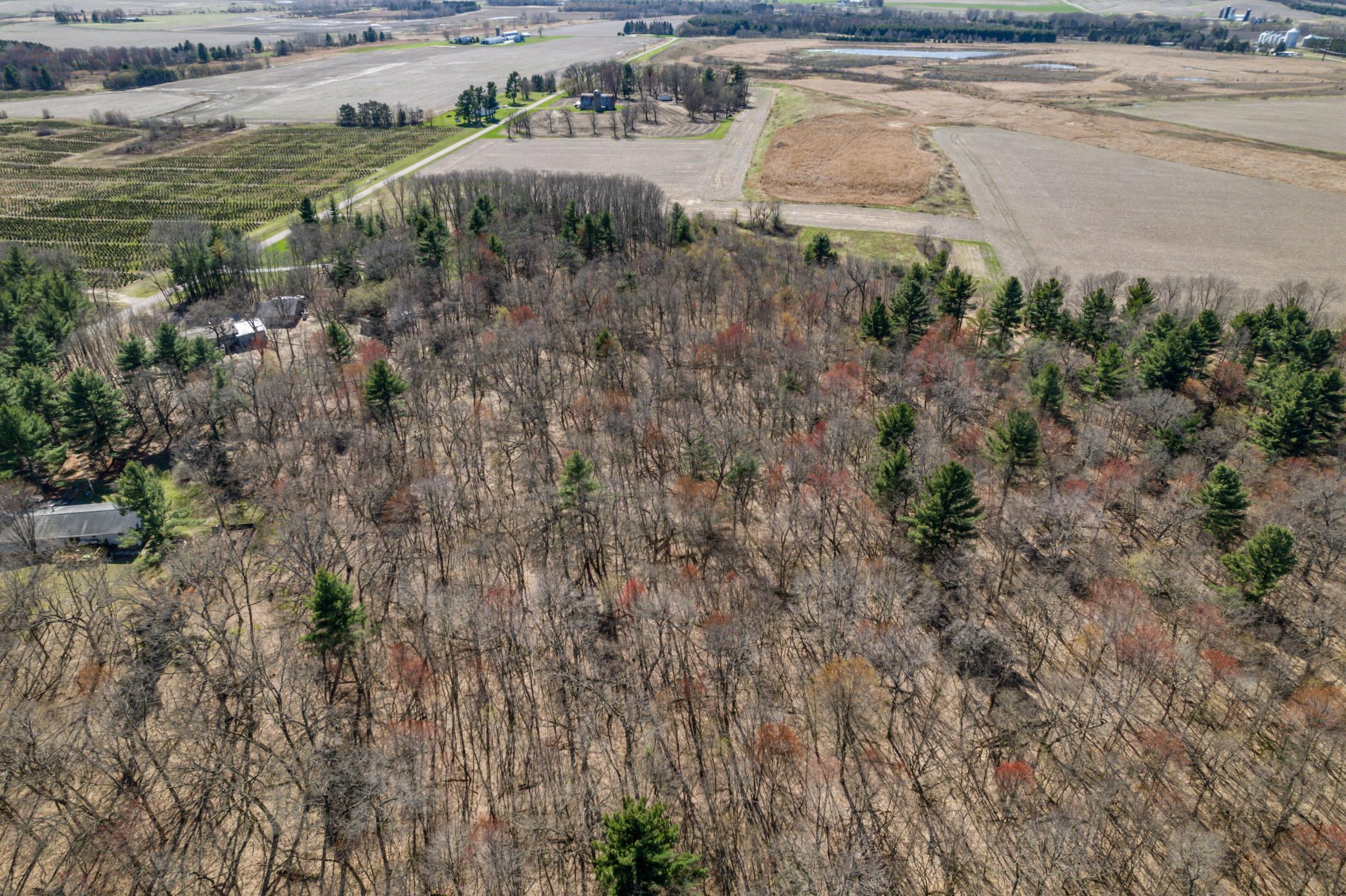 TBD Montgomery Road, Hixton, Wisconsin image 14
