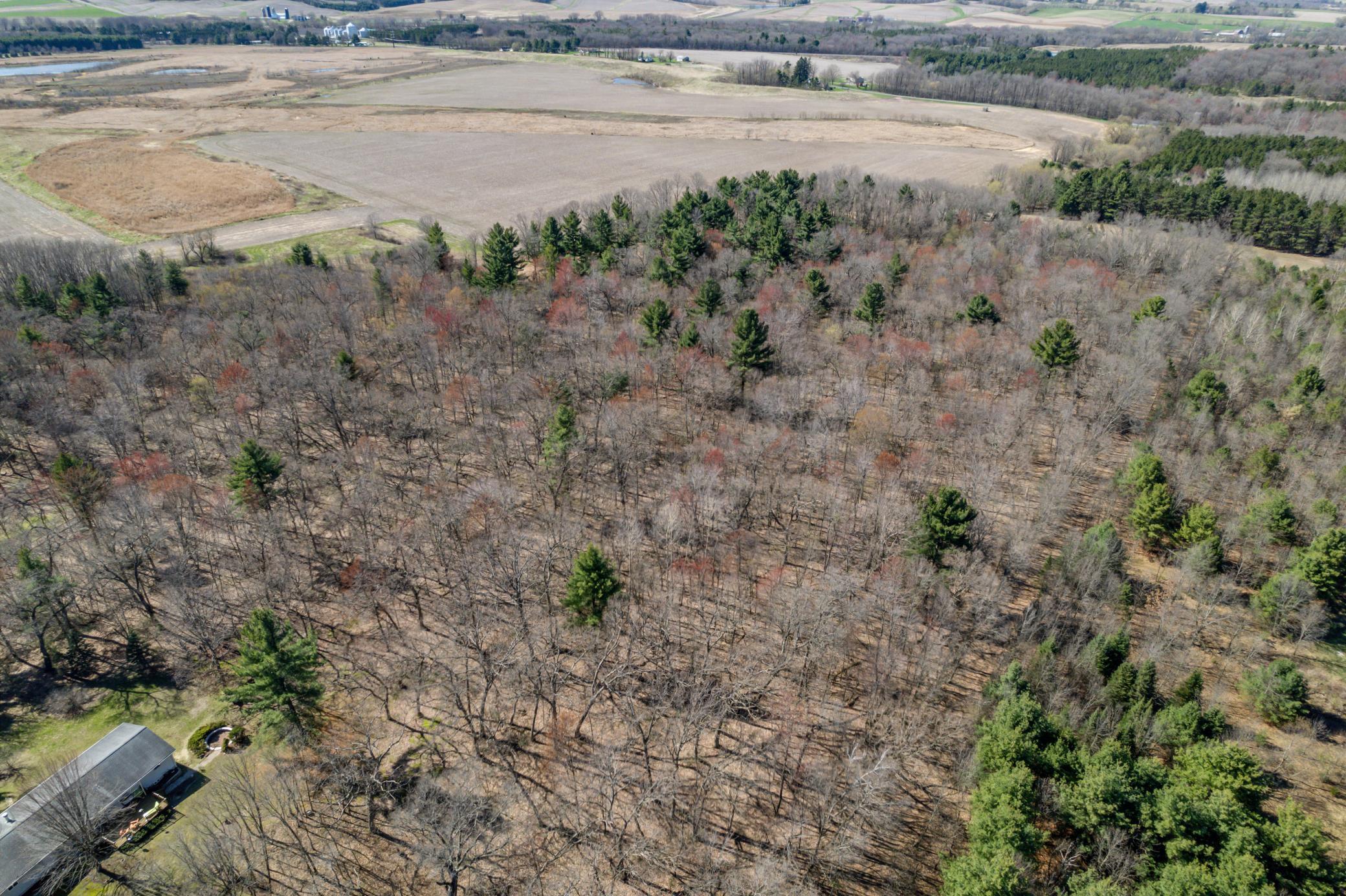 TBD Montgomery Road, Hixton, Wisconsin image 17