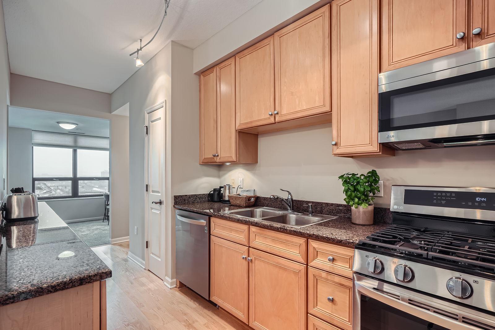 500 E Grant Street #1205, Minneapolis, Minnesota image 6