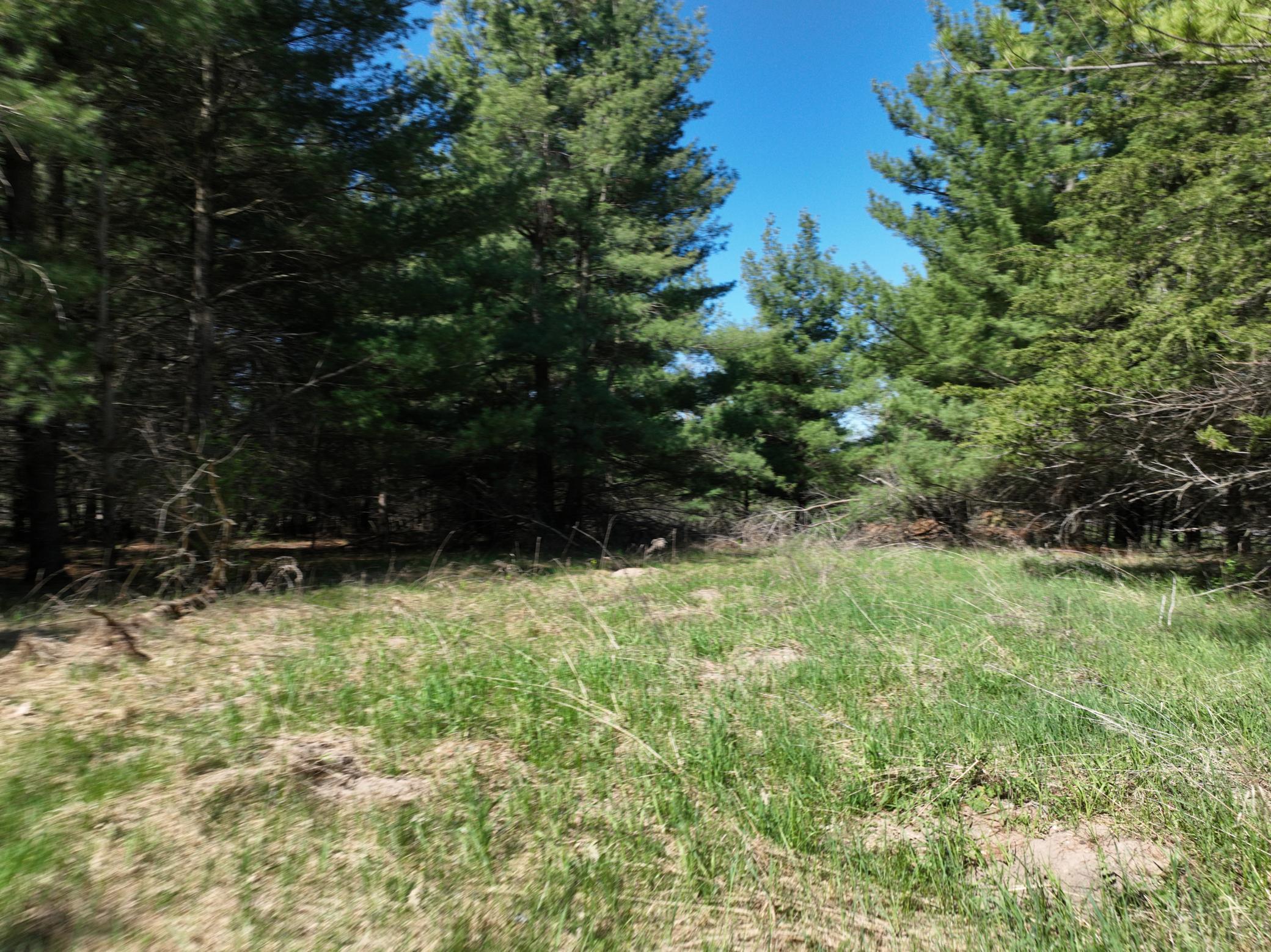 TBD County Road 14, Browerville, Minnesota image 7