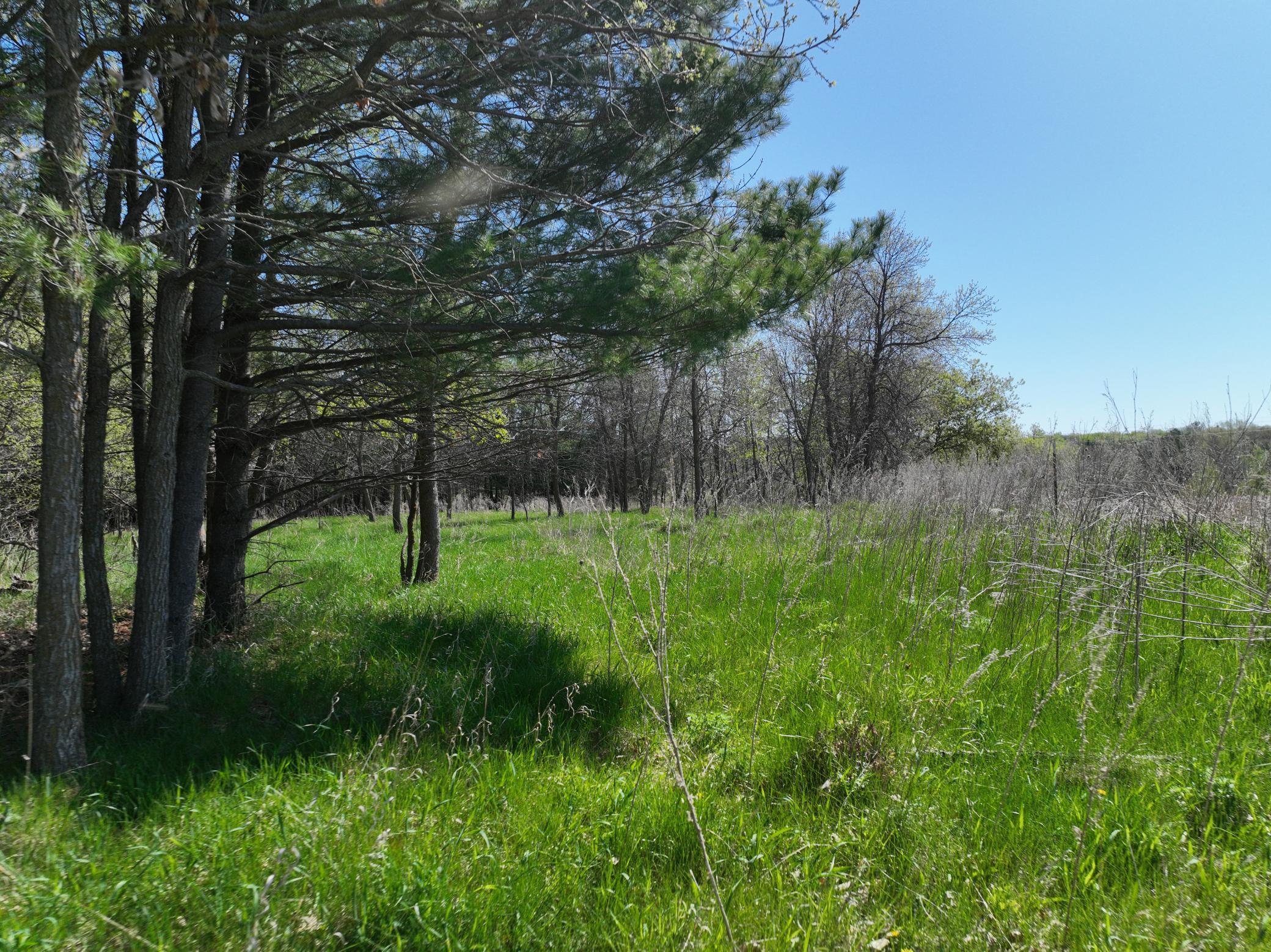 TBD County Road 14, Browerville, Minnesota image 9