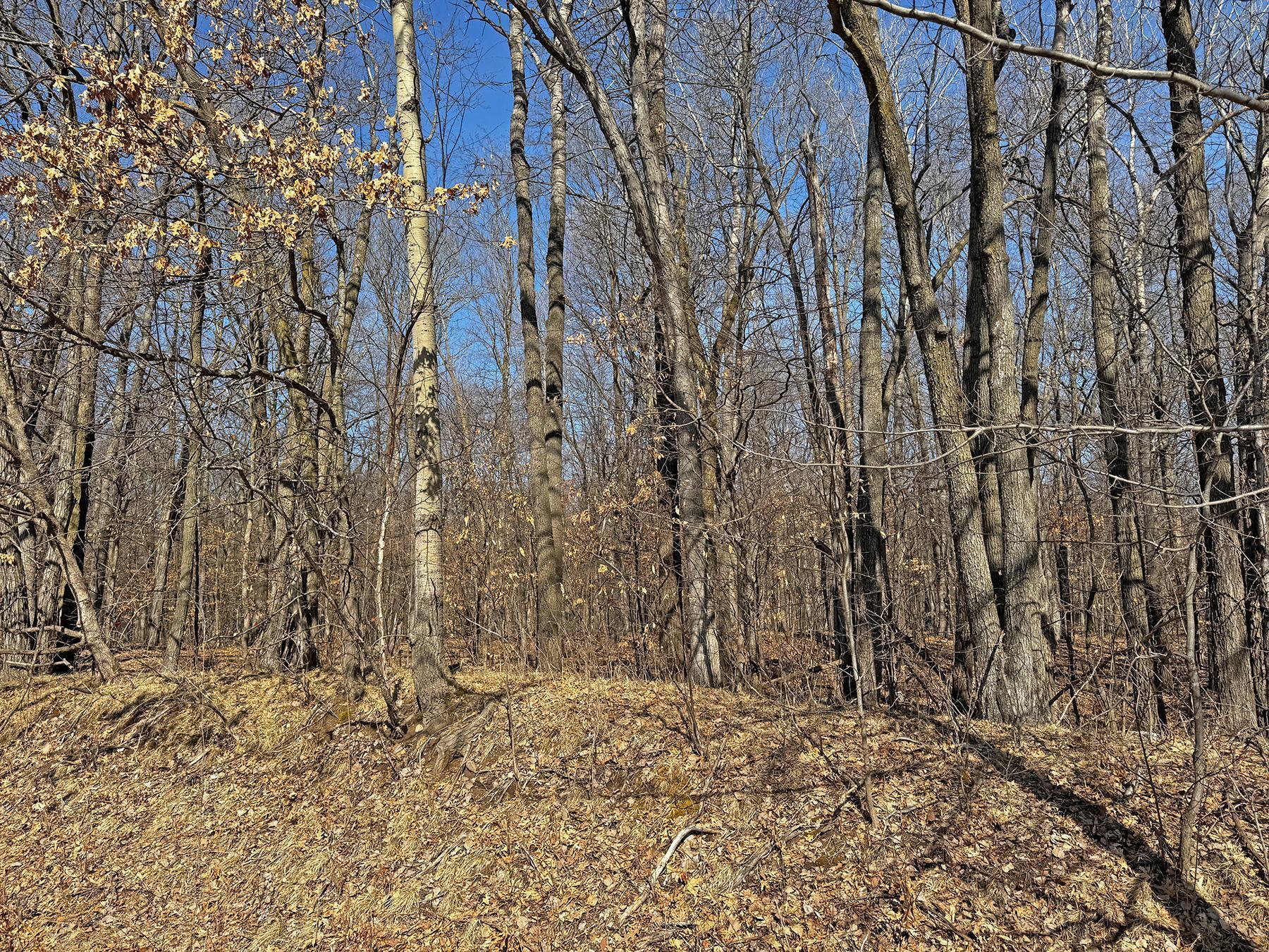 XXX 220th Street, Saint Croix Falls, Wisconsin image 8