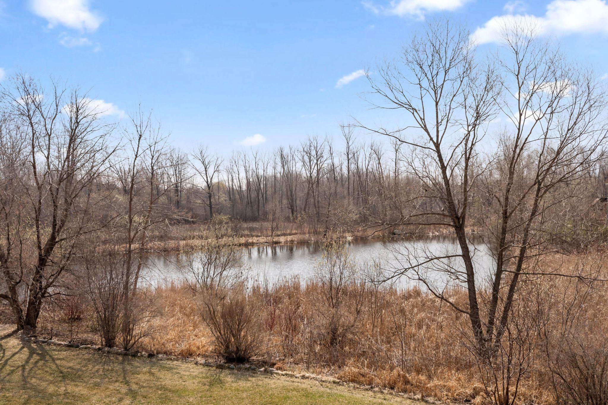 5429 159th Alcove, Hugo, Minnesota image 46