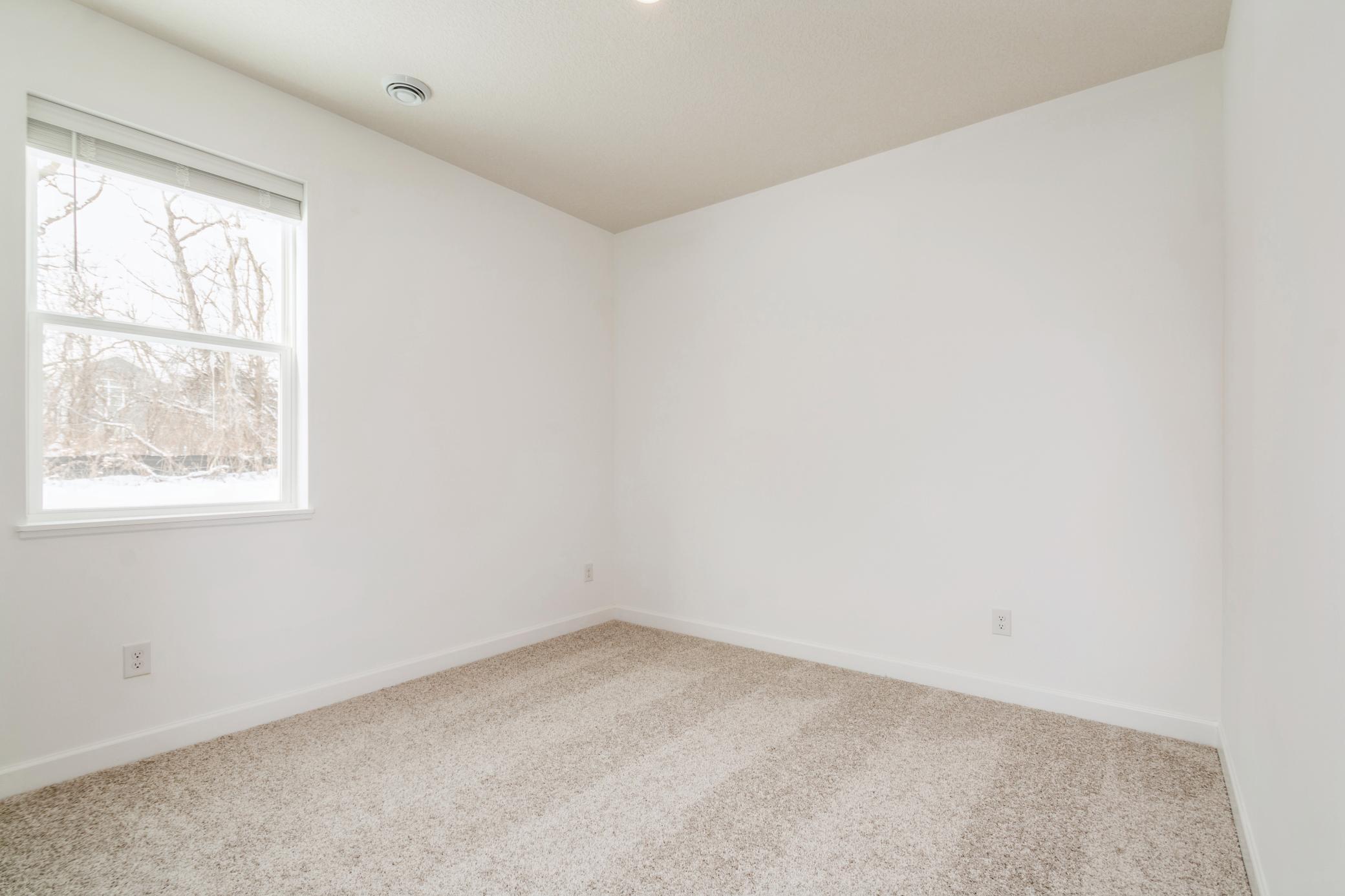 2458 Jandell Avenue, Saint Michael, Minnesota image 11