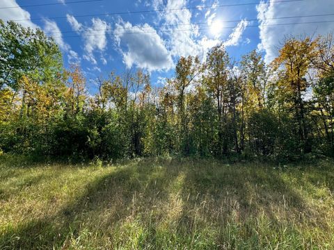 Vacant Land For Sale - TBD 66th Street<br/> Williams, MN 56686