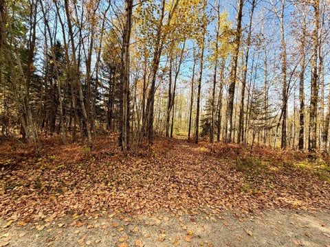 Vacant Land For Sale - TBD County Road 303<br/> Deer River, MN 56636
