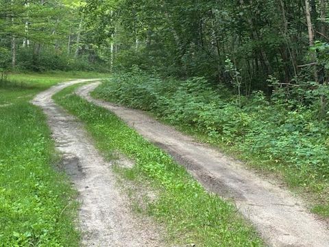 Vacant Land For Sale - TBD Hwy 84 Nw<br/> Longville, MN 56655