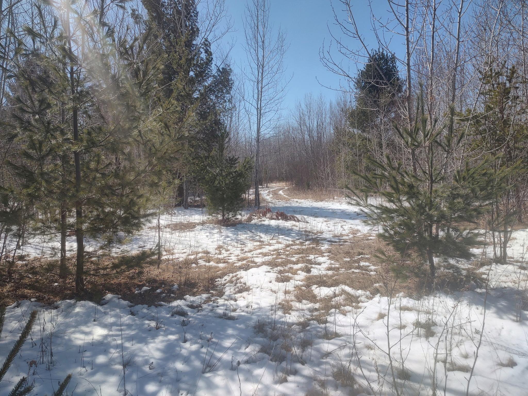 TBD Tranquility Drive, Laporte, Minnesota image 4